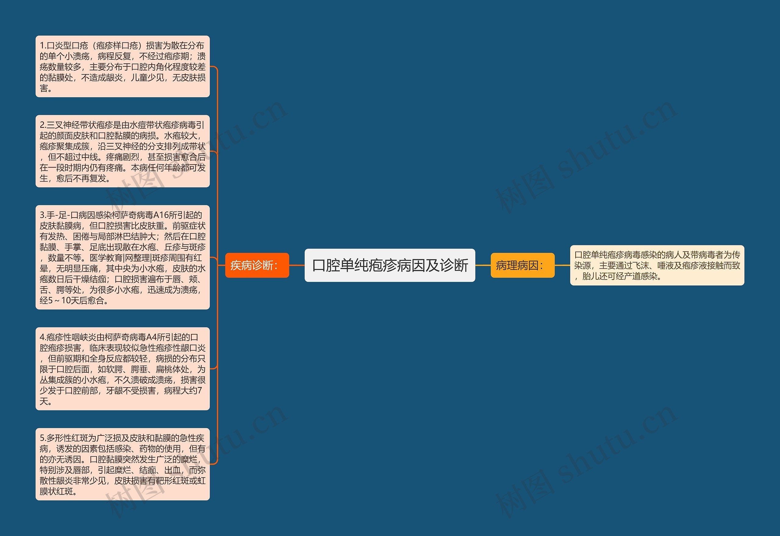 口腔单纯疱疹病因及诊断思维导图