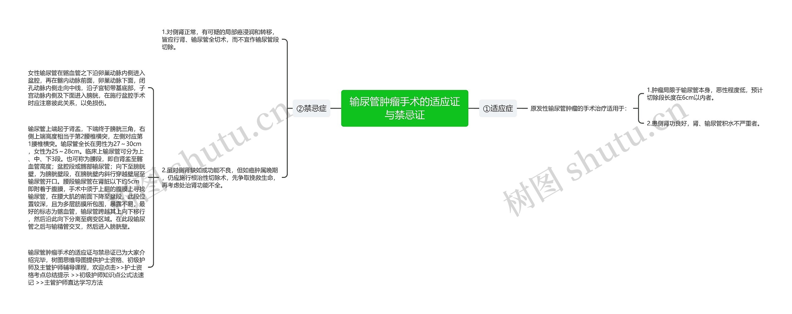 输尿管肿瘤手术的适应证与禁忌证