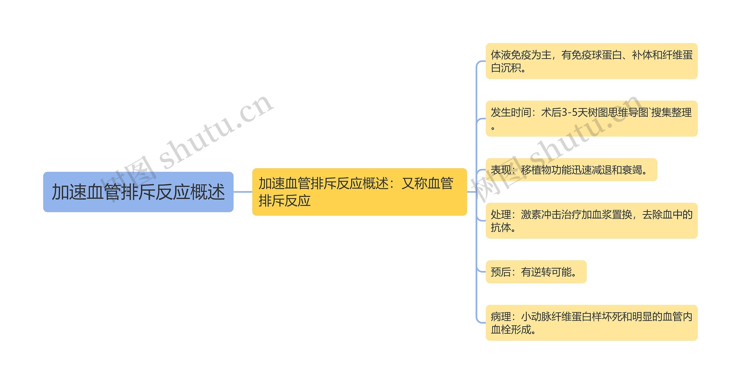 加速血管排斥反应概述思维导图