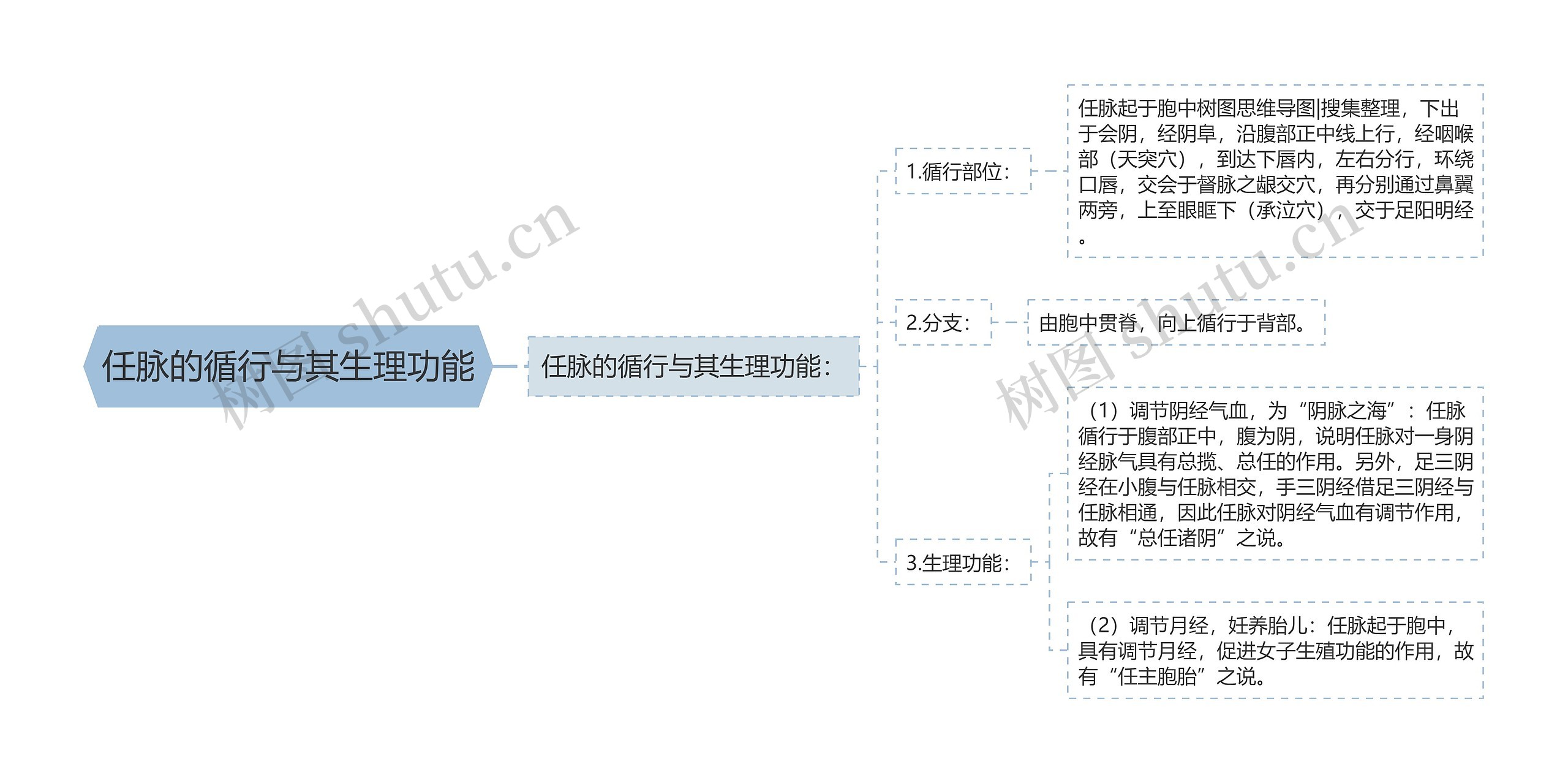 任脉的循行与其生理功能