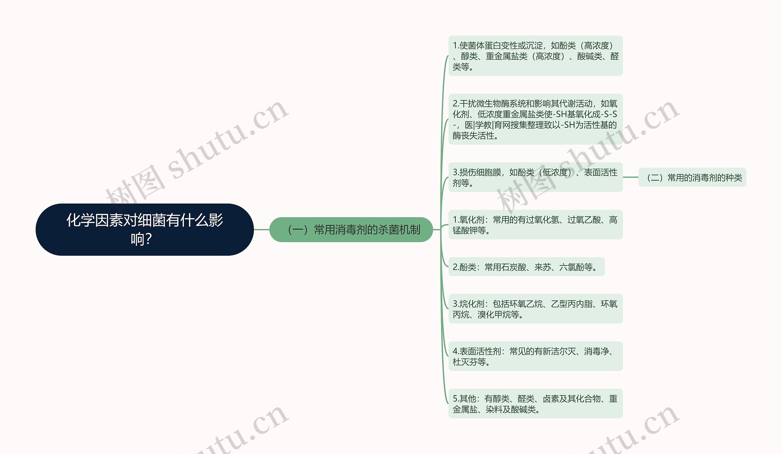 化学因素对细菌有什么影响？思维导图