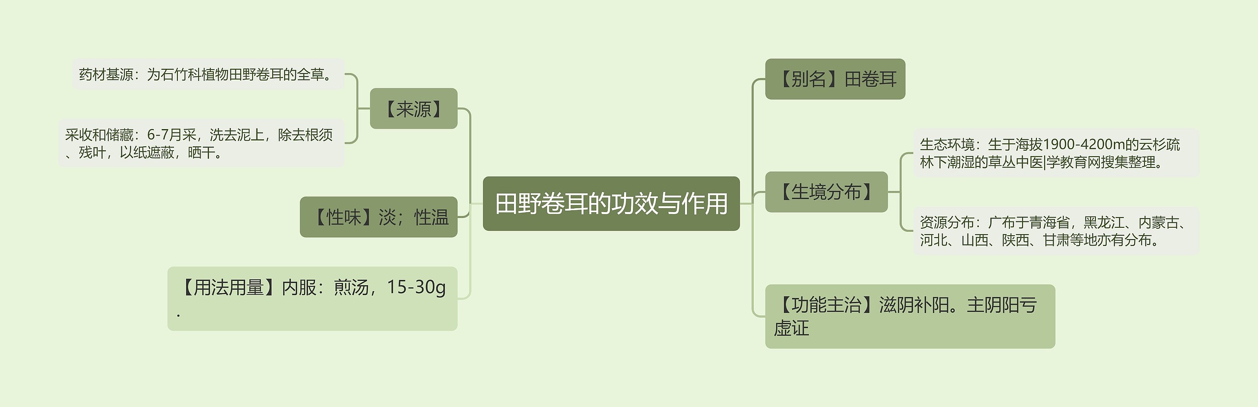 田野卷耳的功效与作用思维导图