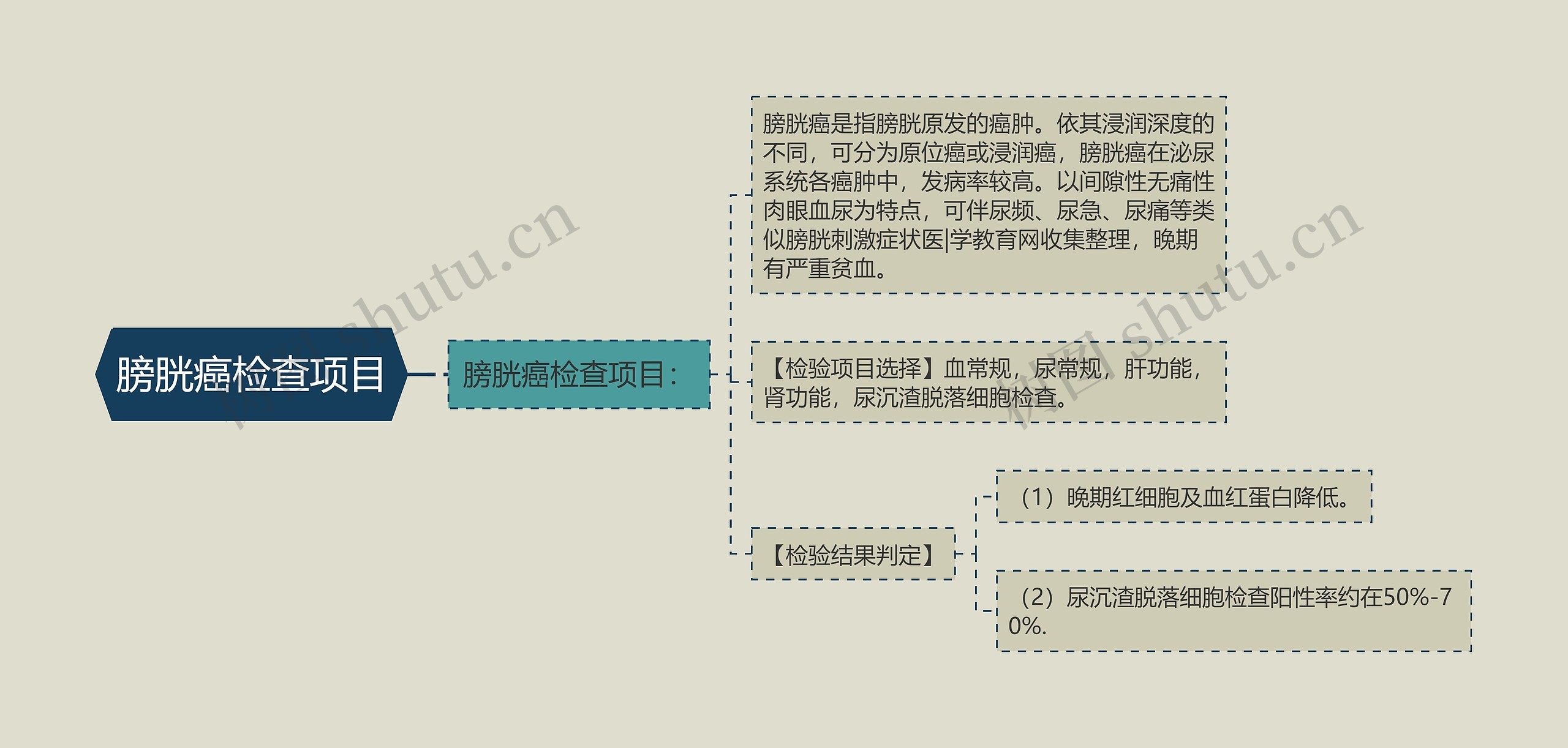 膀胱癌检查项目思维导图