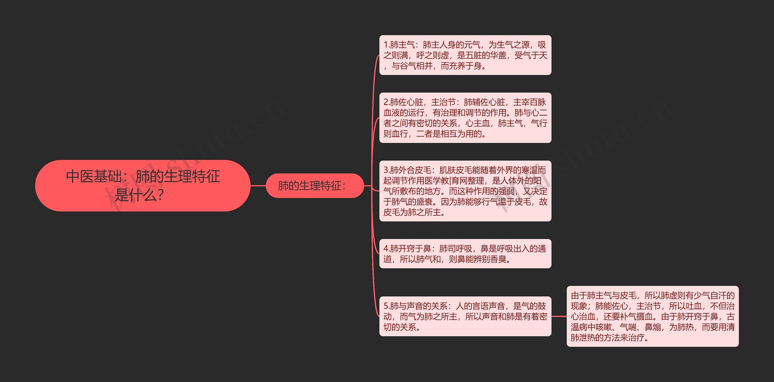 中医基础：肺的生理特征是什么？