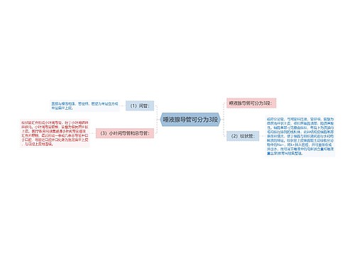 唾液腺导管可分为3段