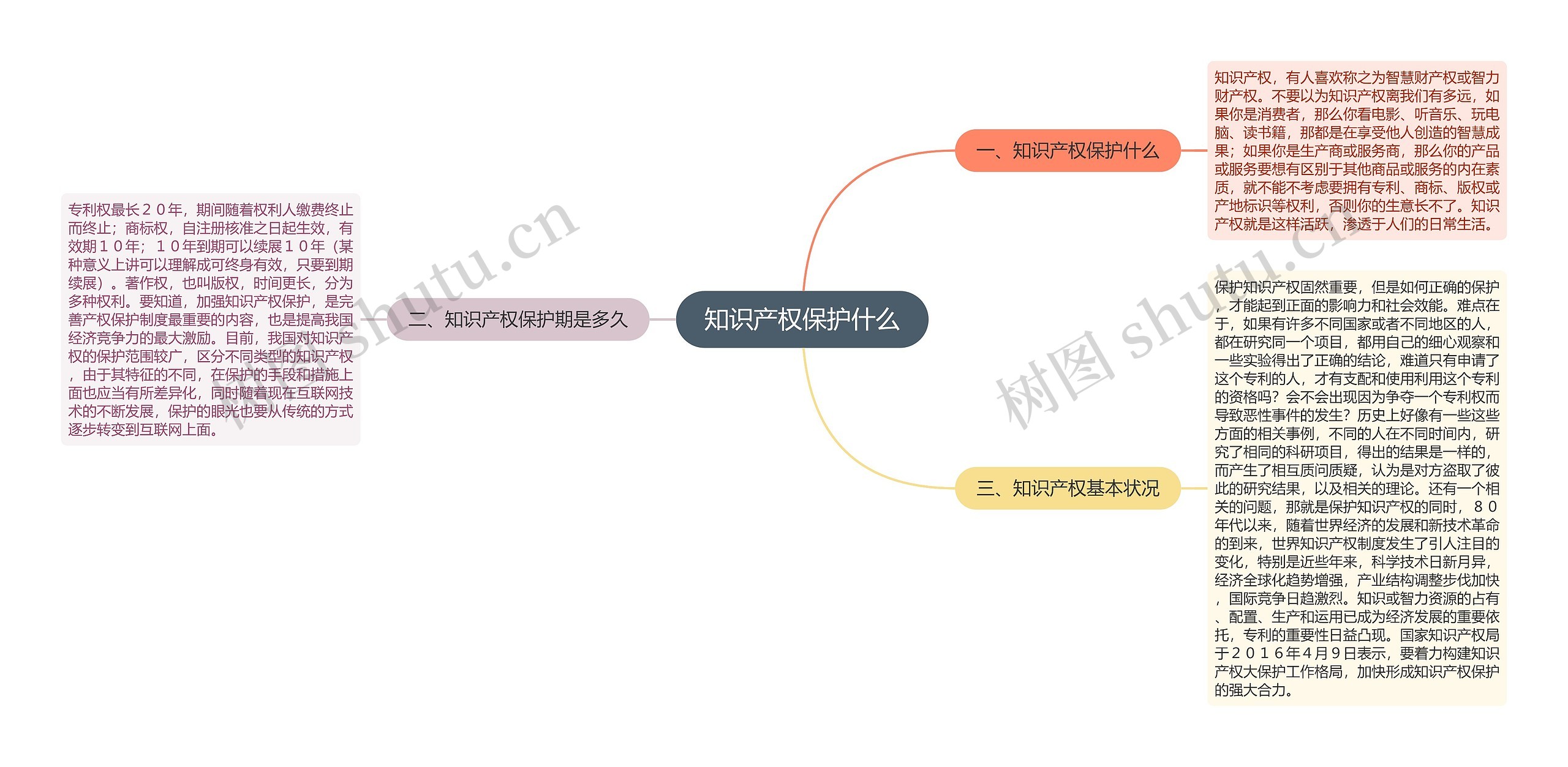 知识产权保护什么思维导图