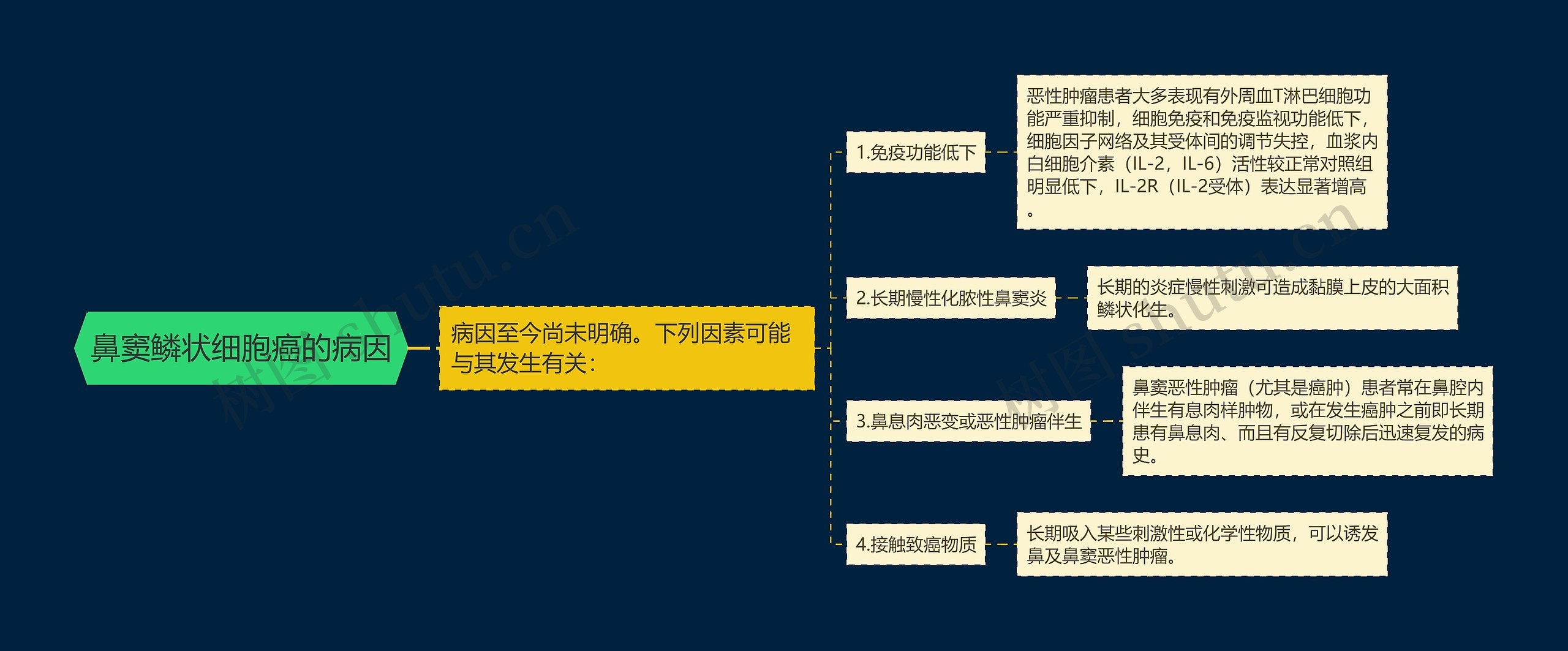 鼻窦鳞状细胞癌的病因思维导图