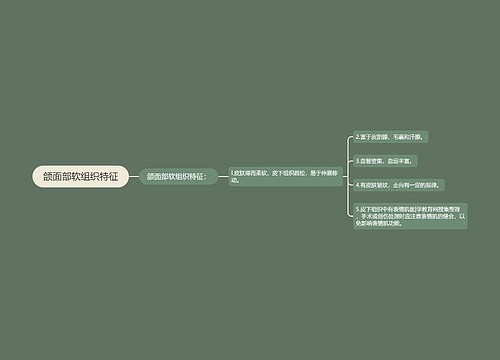 颌面部软组织特征