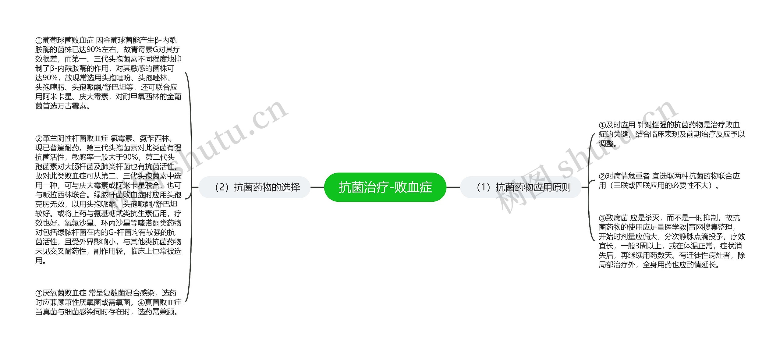 抗菌治疗-败血症思维导图