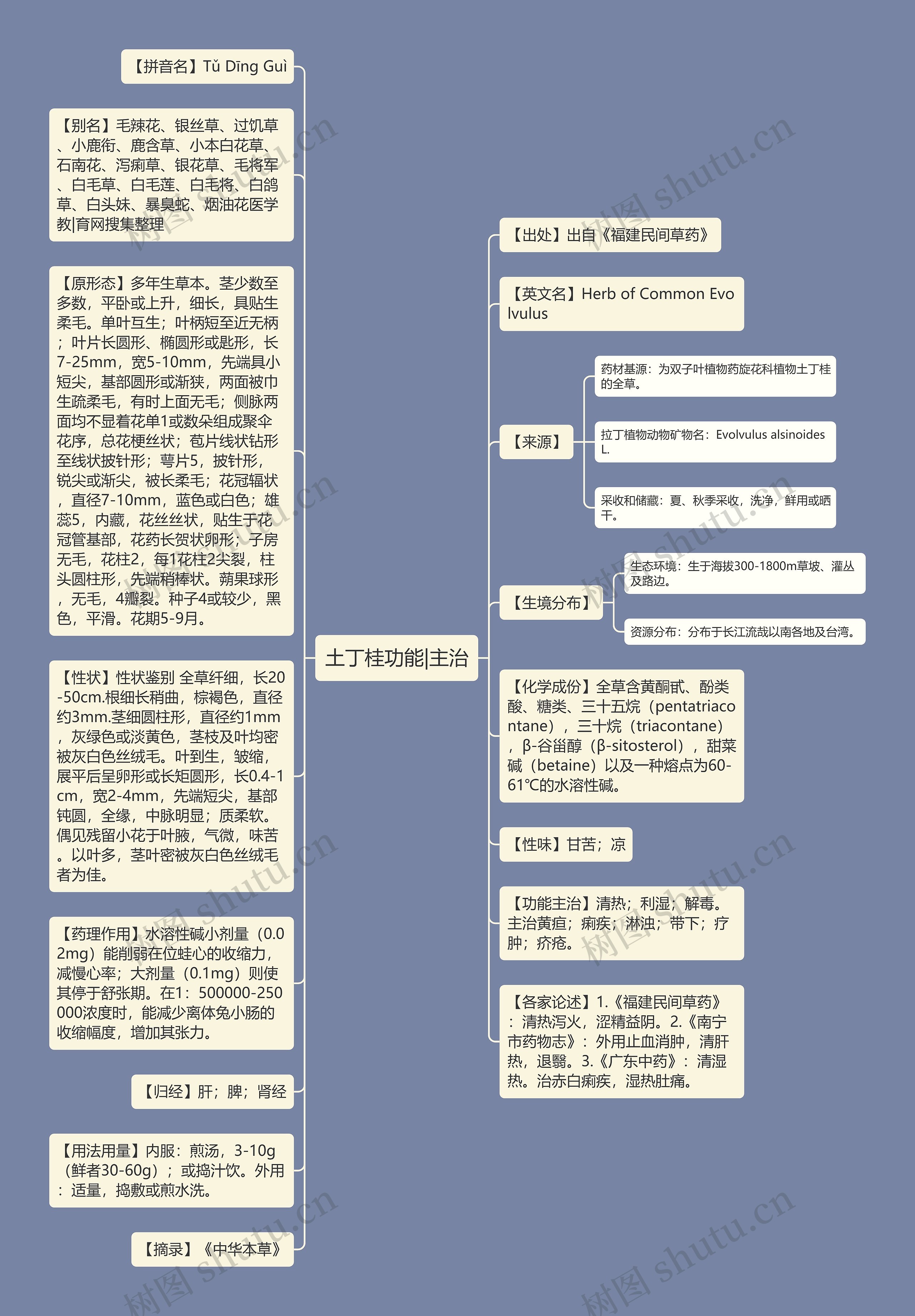 土丁桂功能|主治思维导图