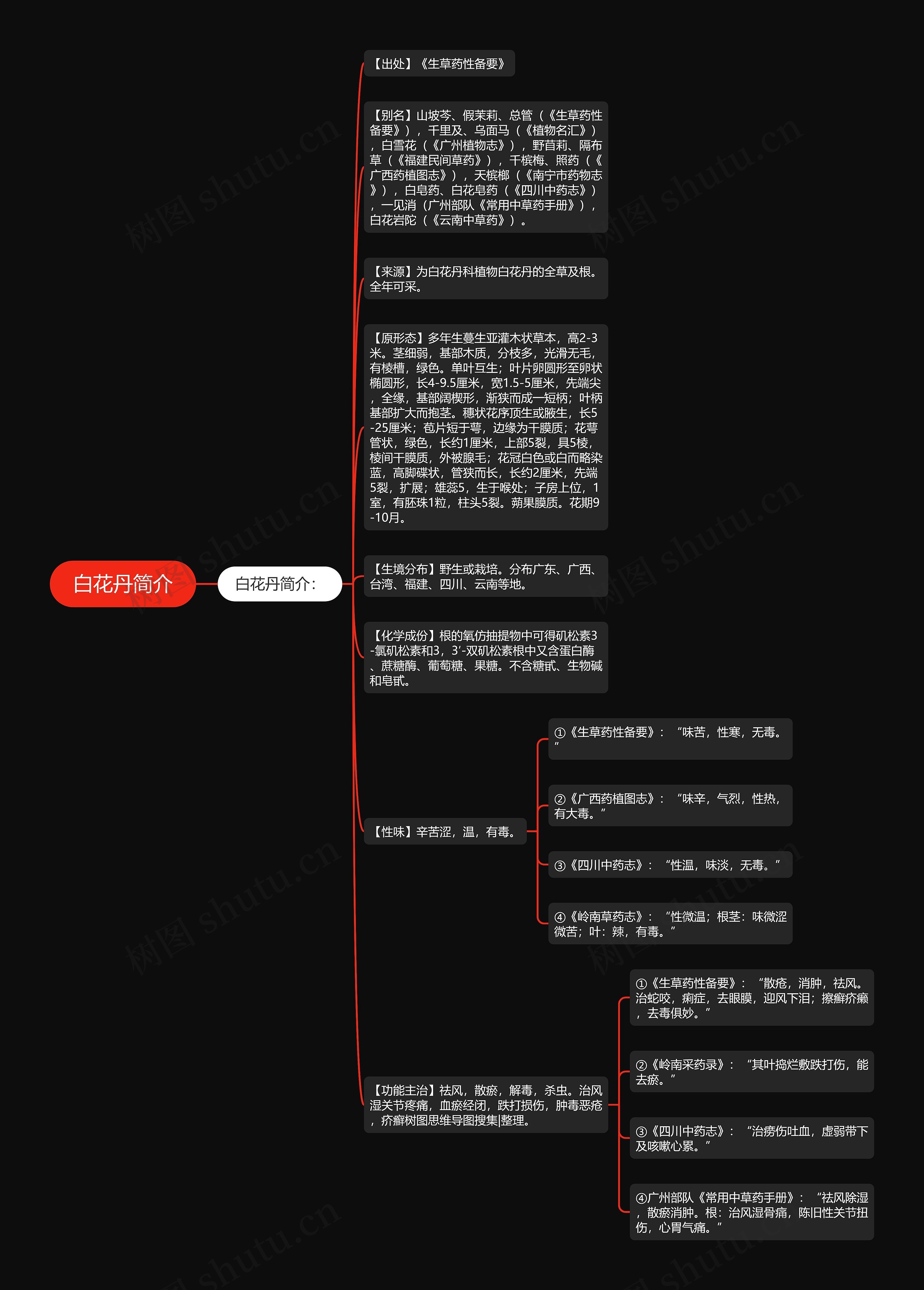 白花丹简介思维导图高清图 白花丹简介思维导图