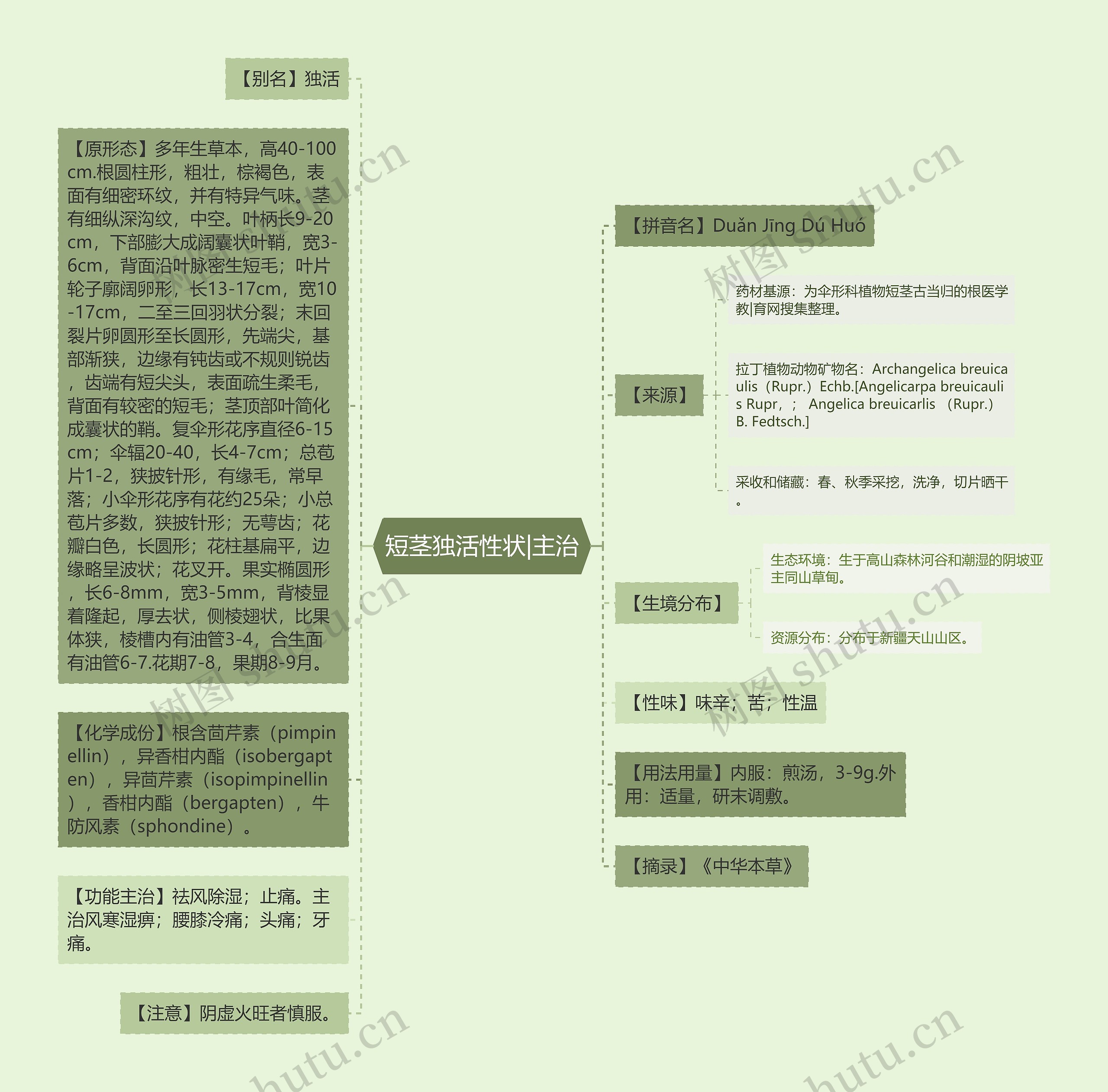 短茎独活性状|主治思维导图