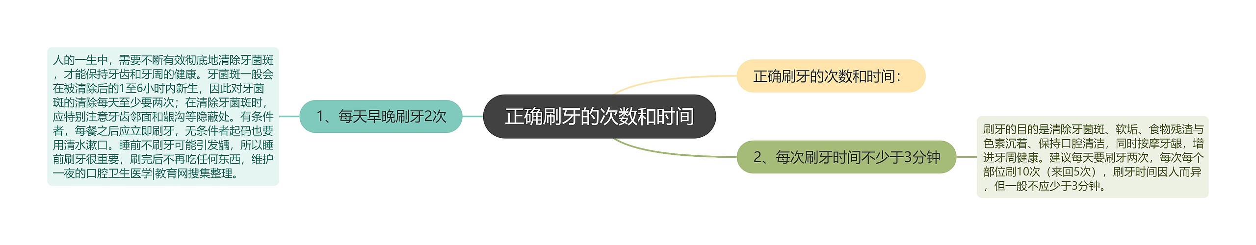 正确刷牙的次数和时间 正确刷牙的次数和时间