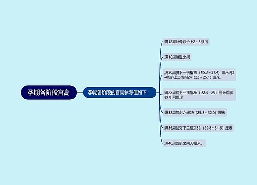 孕期各阶段宫高