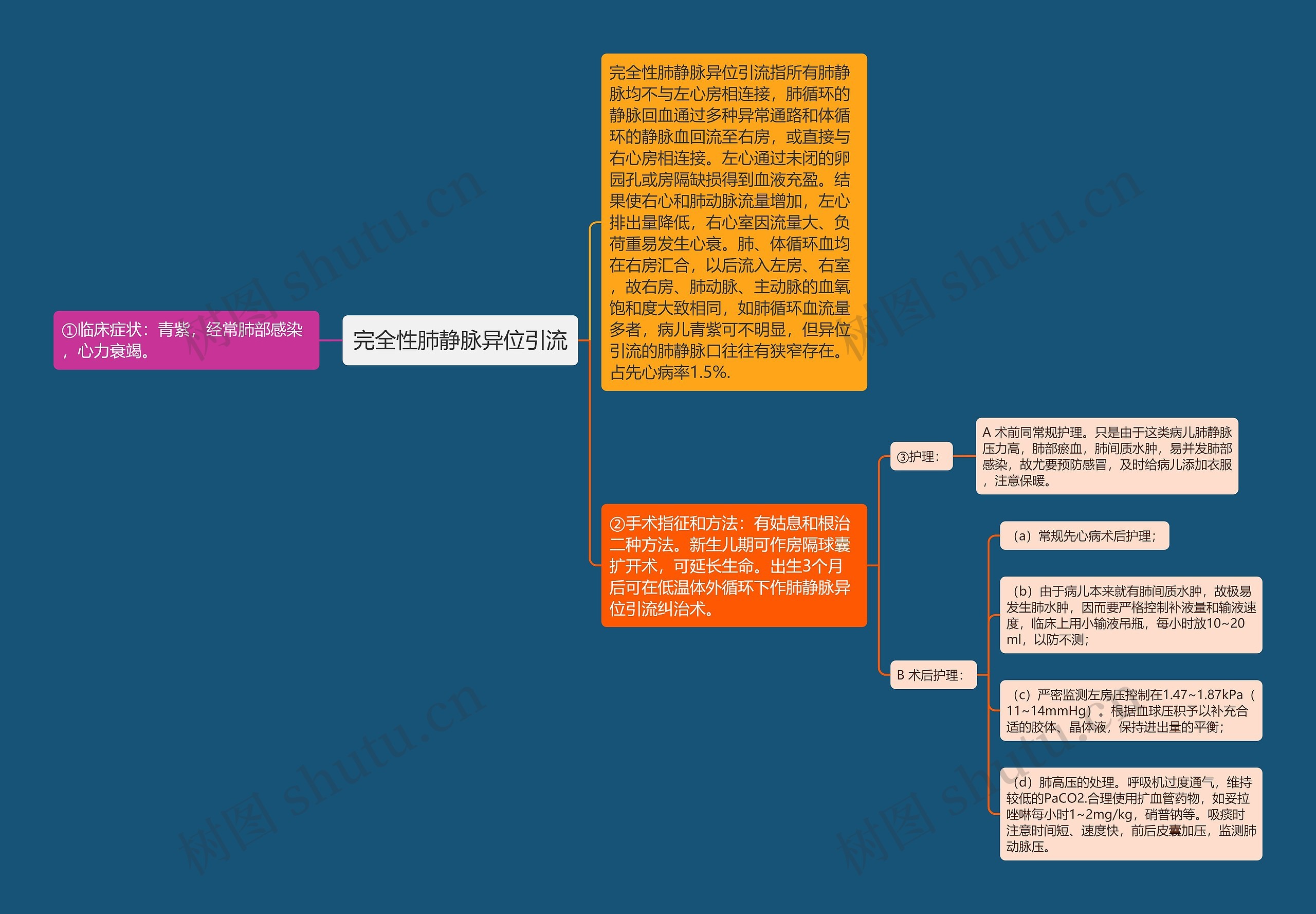 完全性肺静脉异位引流思维导图