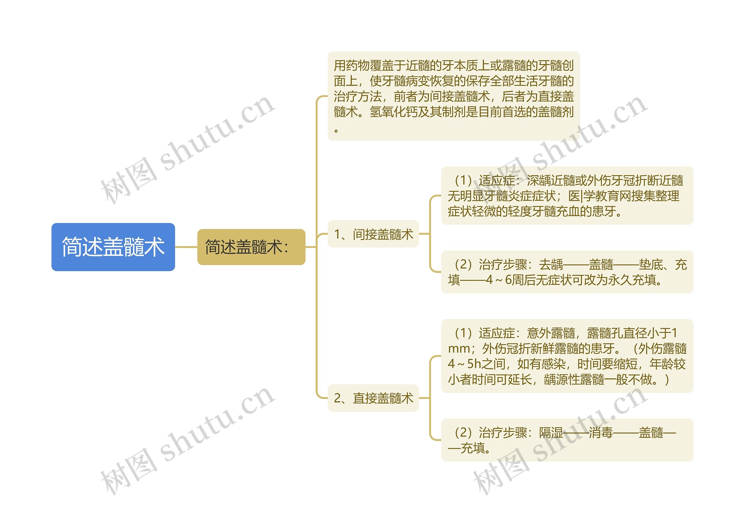 简述盖髓术