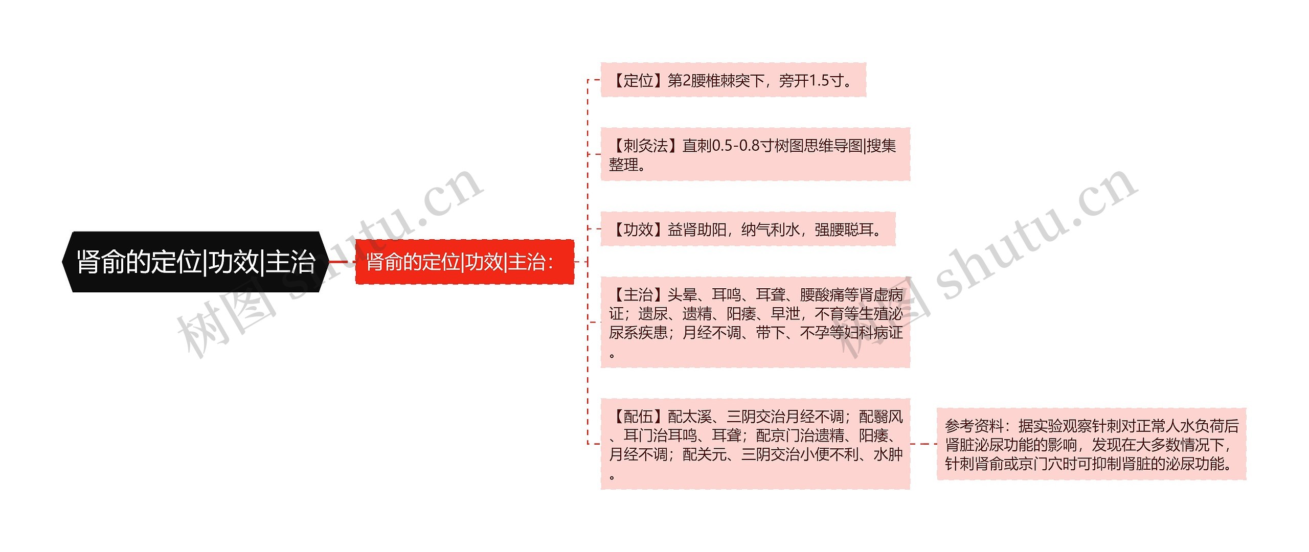 肾俞的定位|功效|主治思维导图