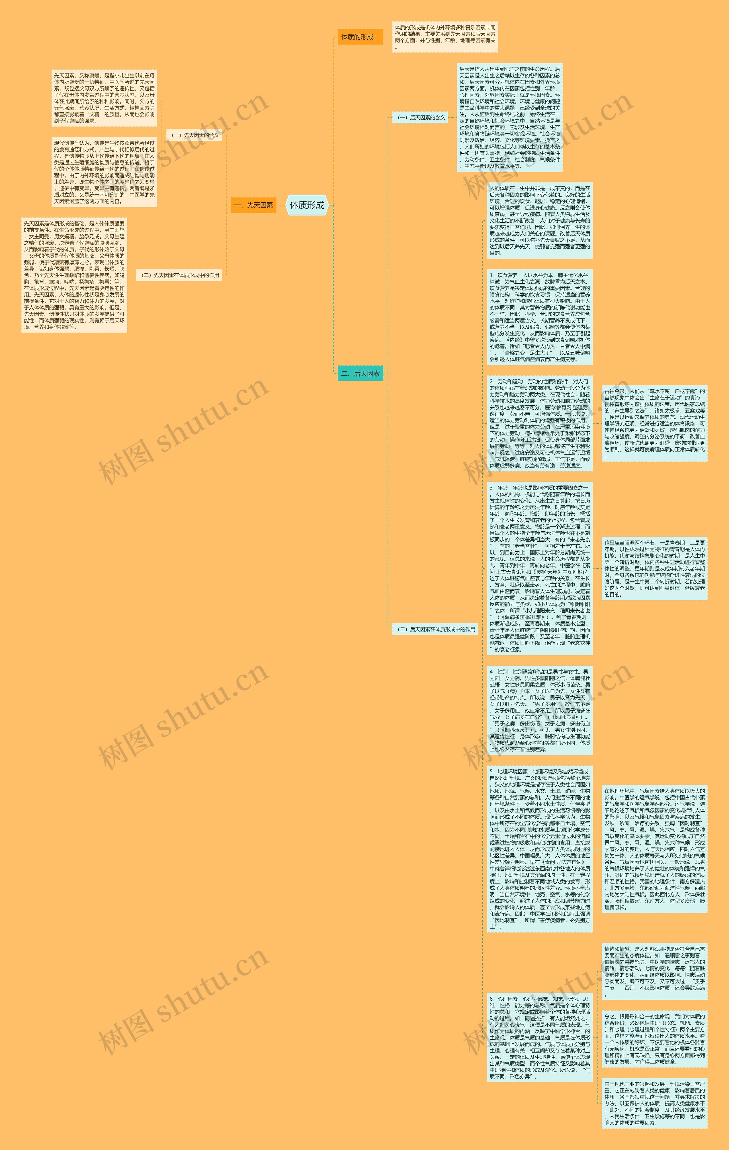 体质形成思维导图