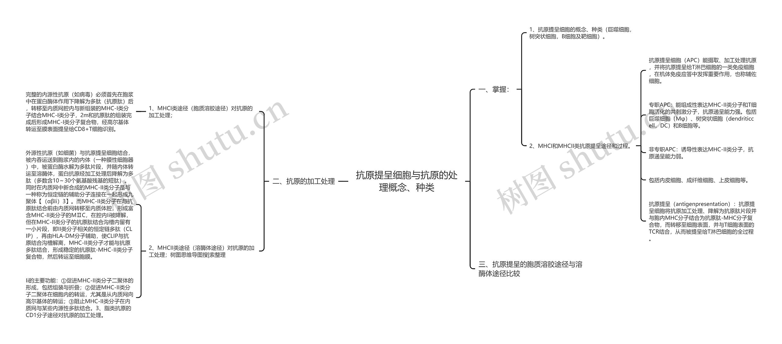 抗原提呈细胞与抗原的处理概念、种类思维导图