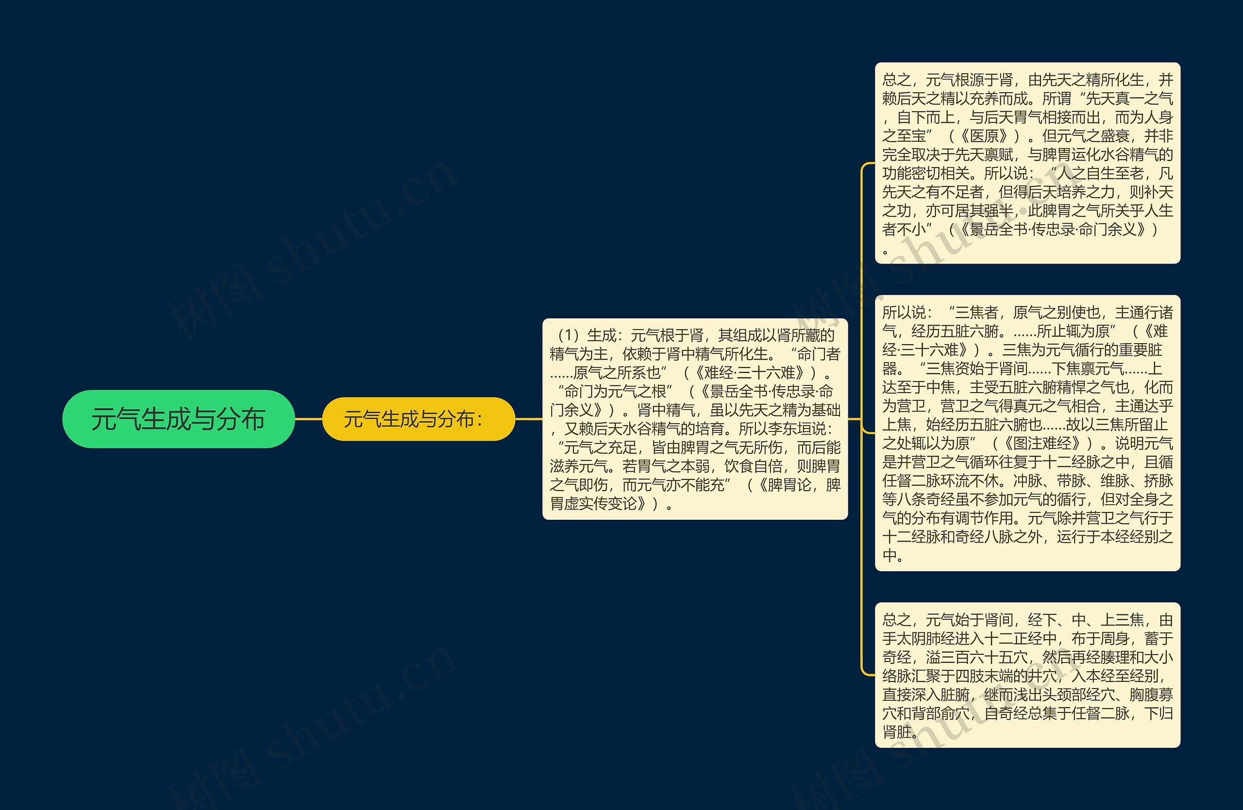 元气生成与分布 元气生成与分布