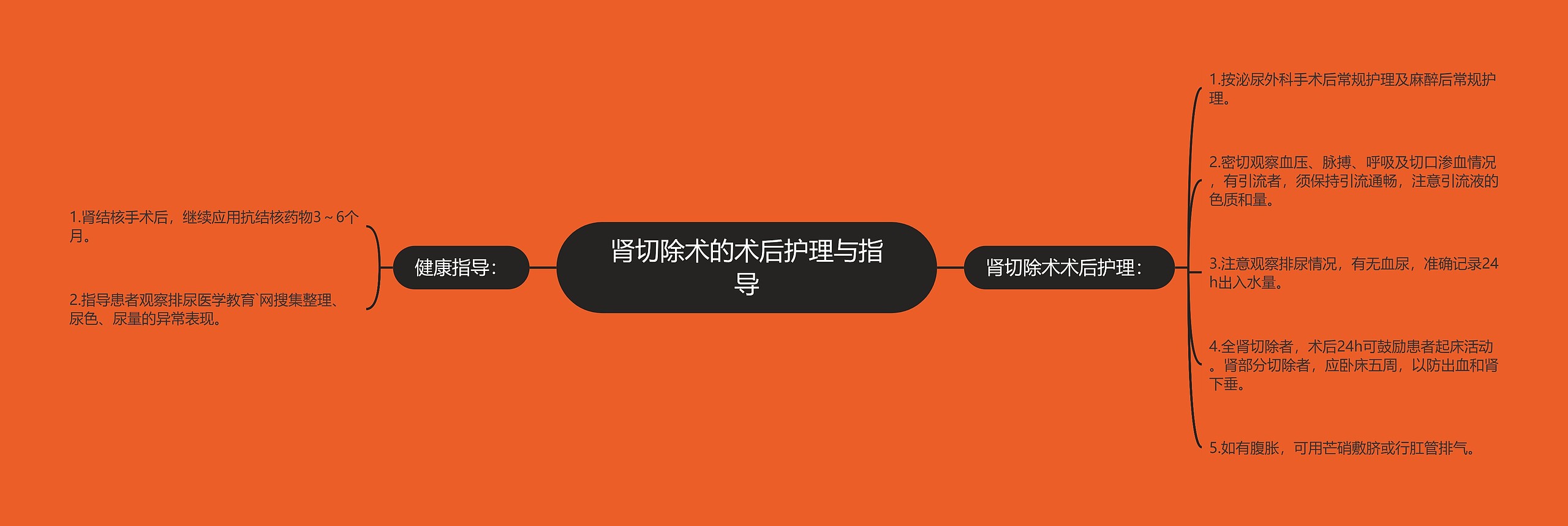 肾切除术的术后护理与指导 肾切除术的术后护理与指导