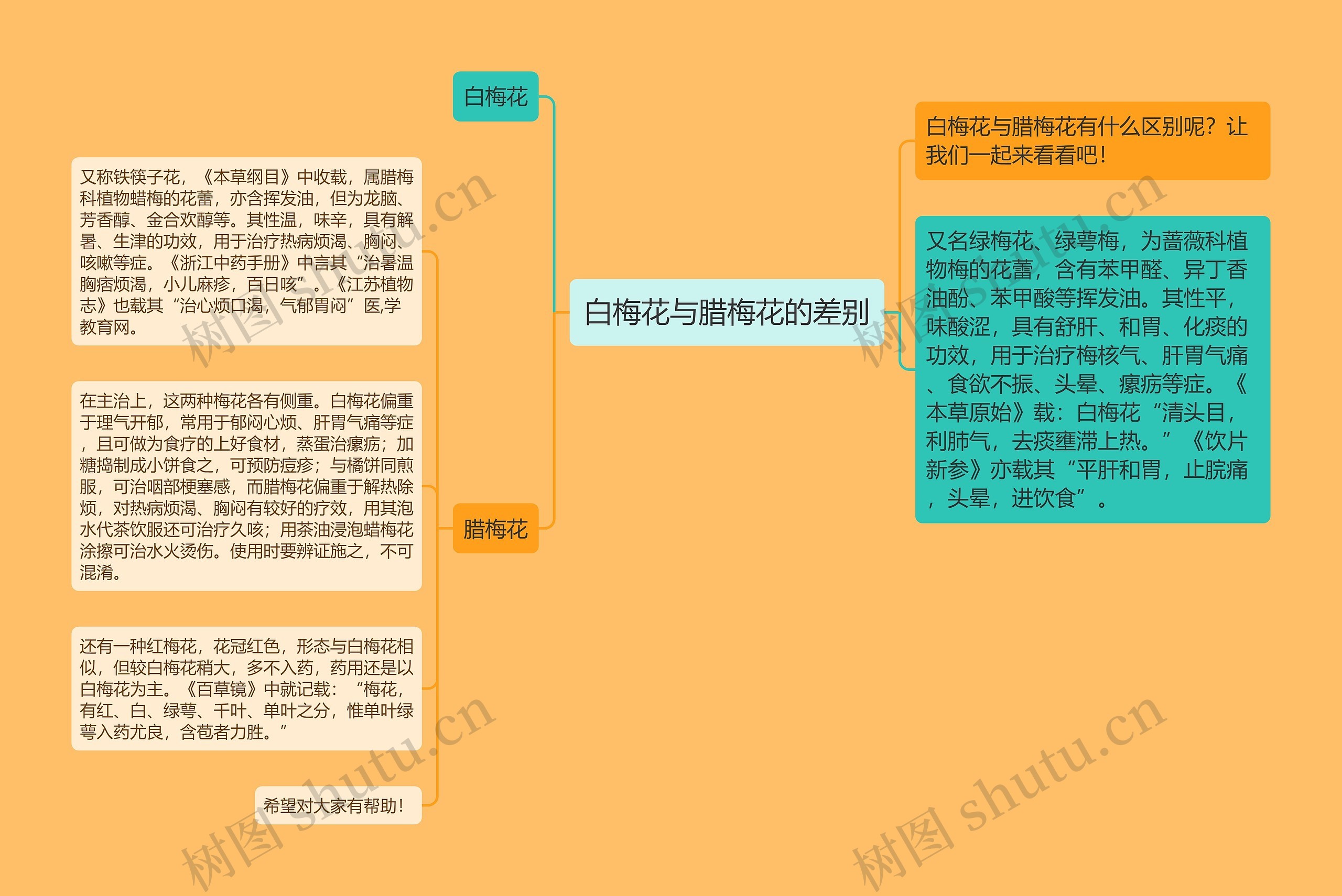 白梅花与腊梅花的差别思维导图