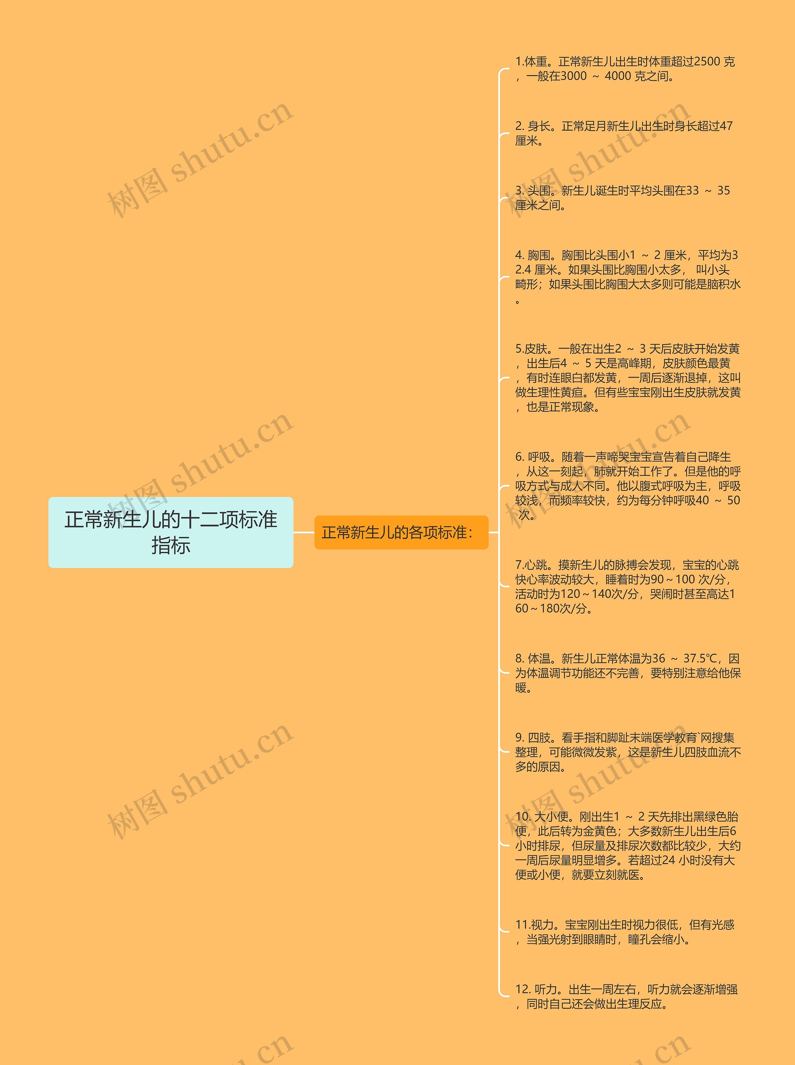 正常新生儿的十二项标准指标