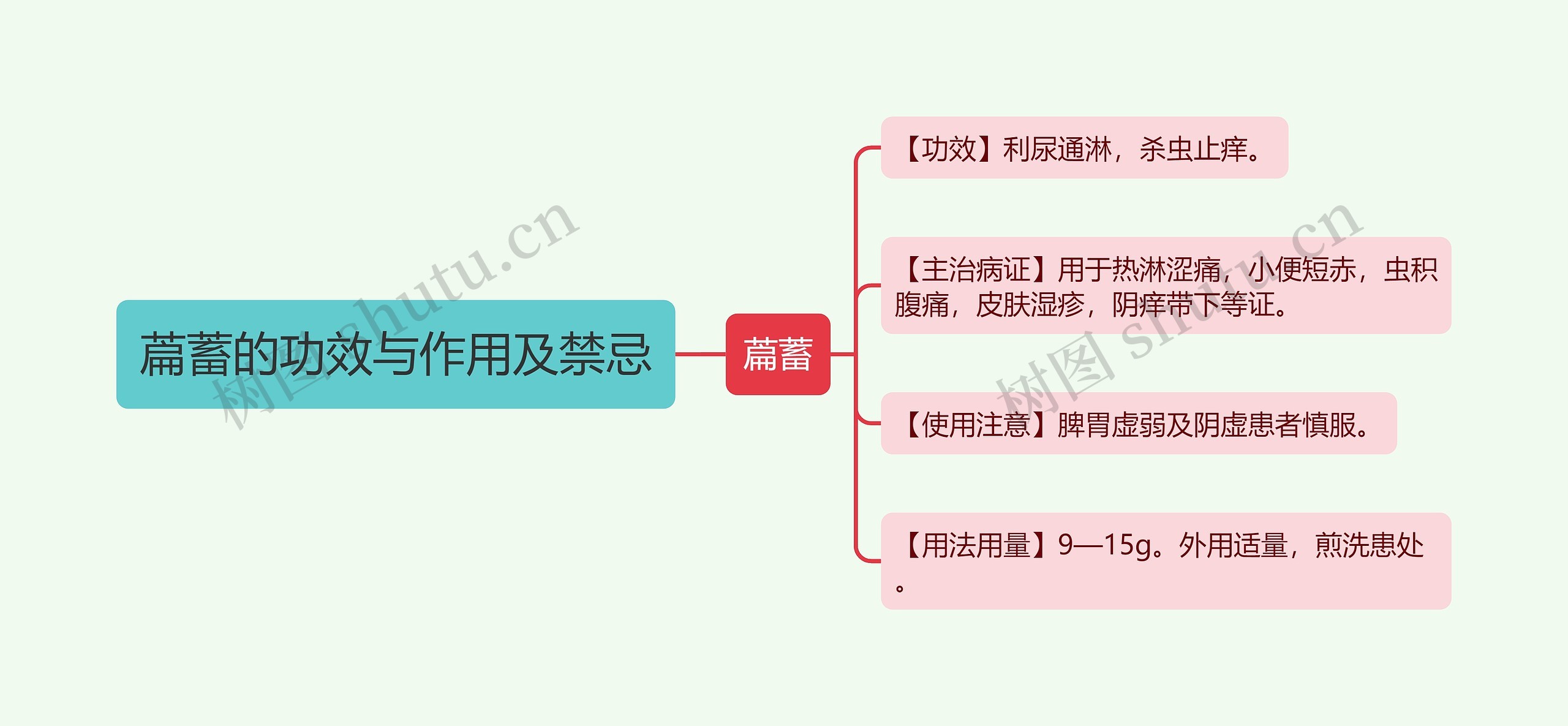 萹蓄的功效与作用及禁忌思维导图