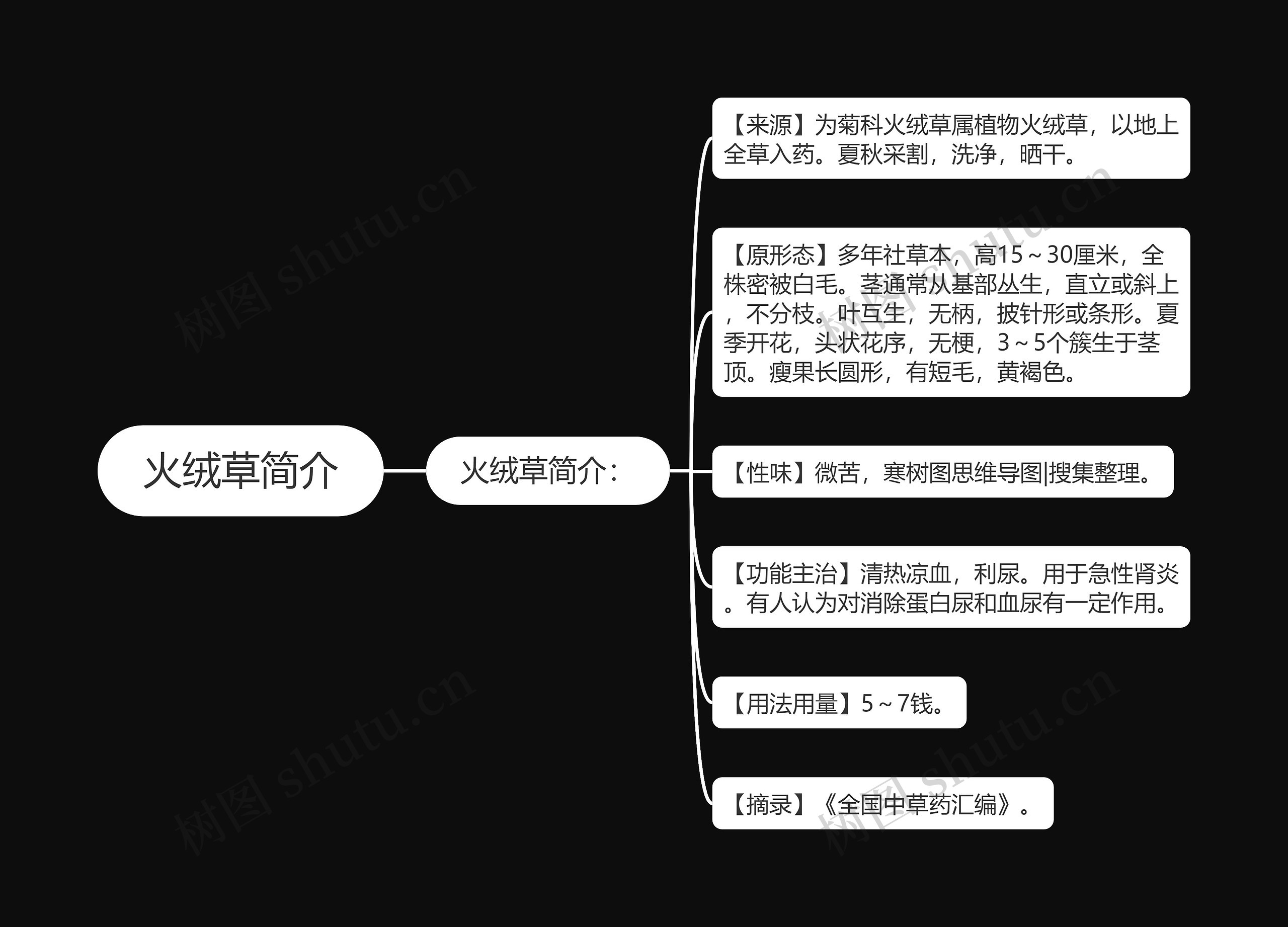 火绒草简介思维导图