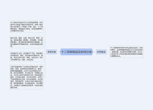 十二经脉概述及如何分类