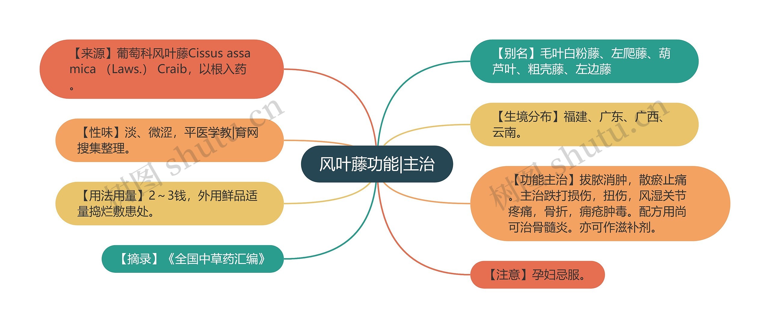 风叶藤功能|主治 风叶藤功能|主治