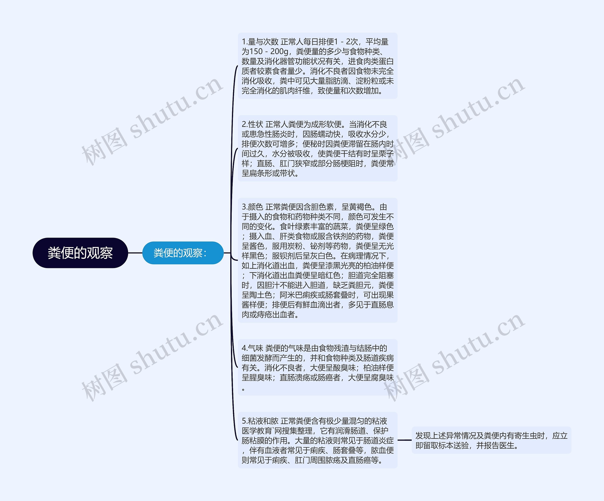 粪便的观察思维导图