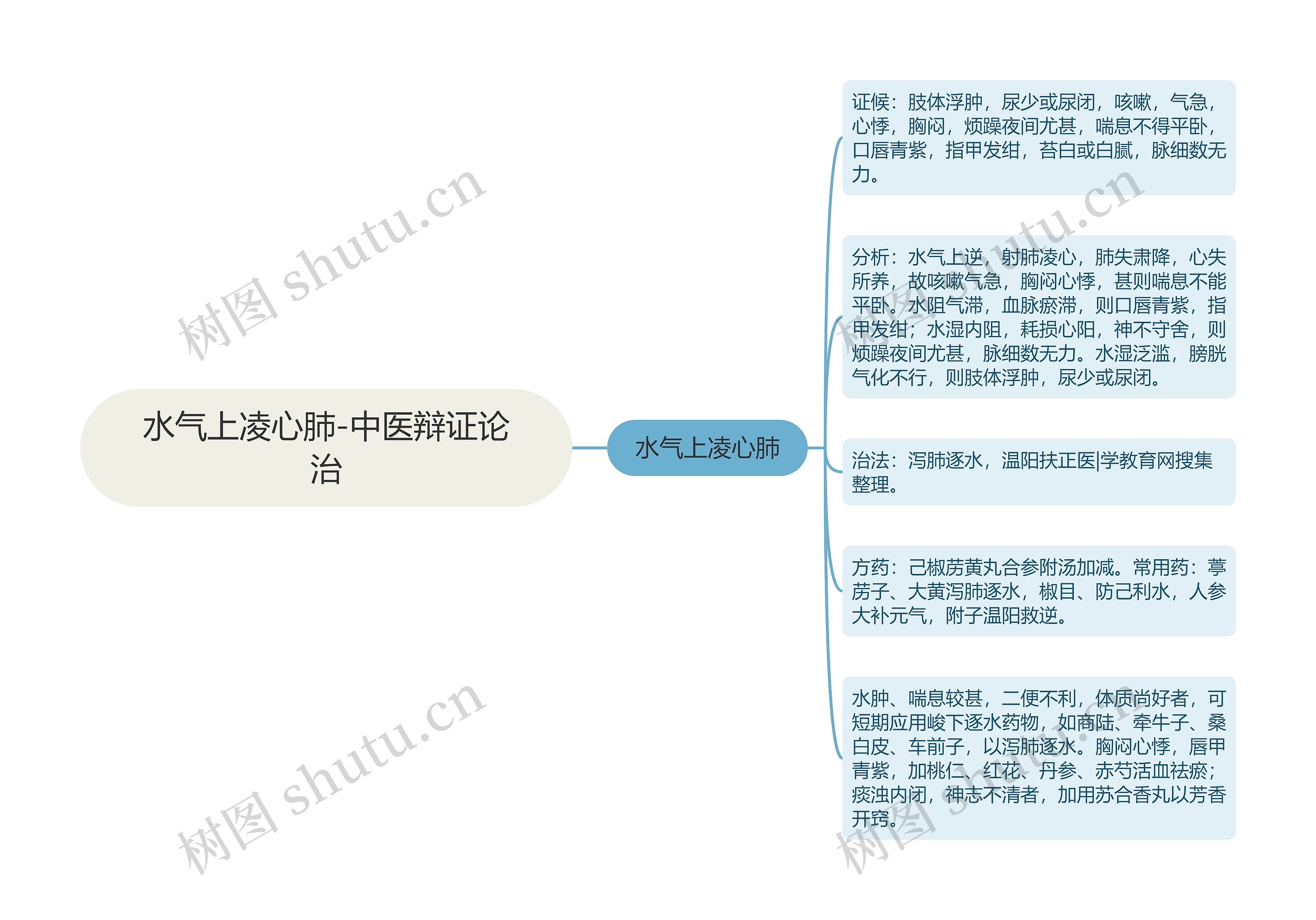 水气上凌心肺-中医辩证论治思维导图