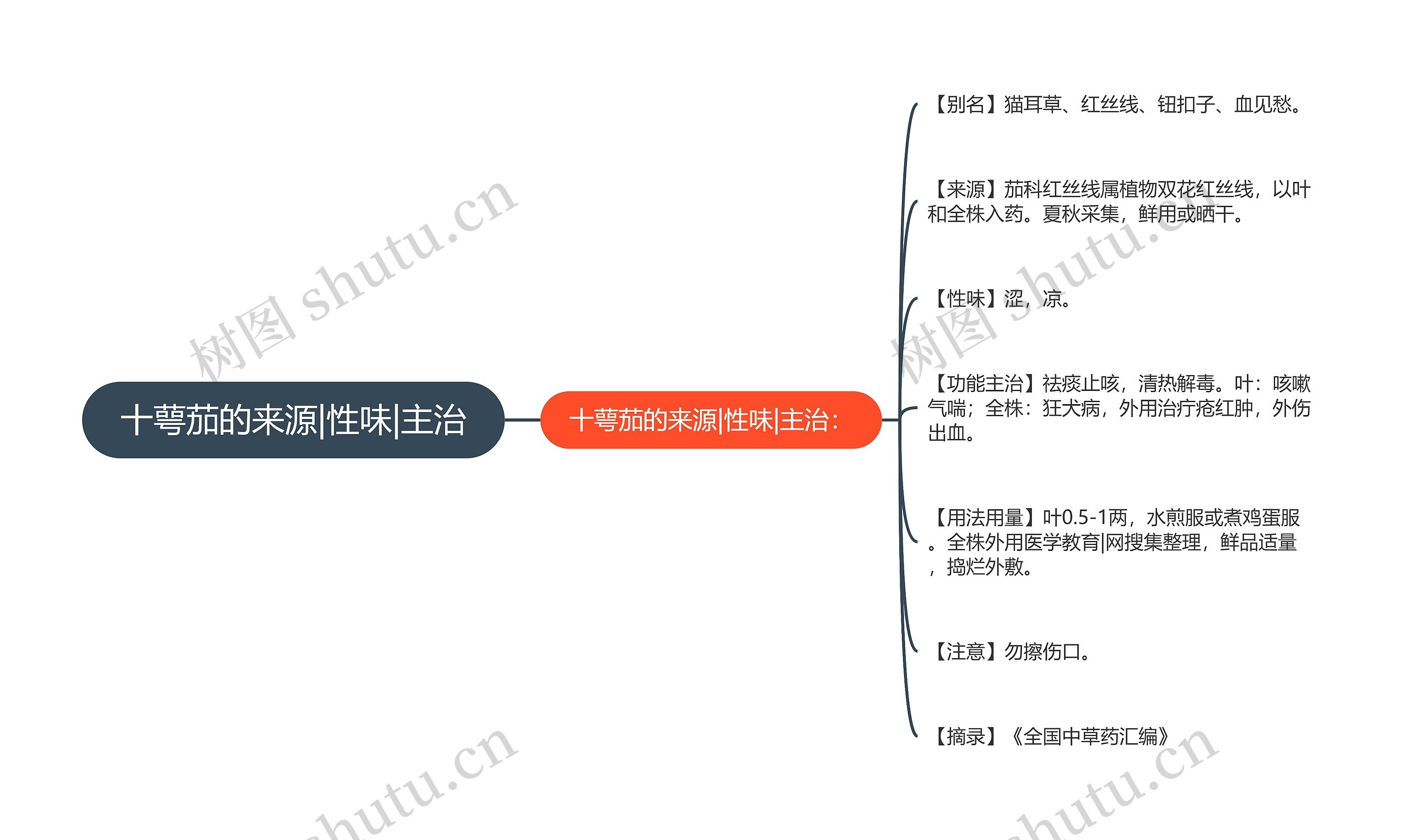 十萼茄的来源|性味|主治思维导图