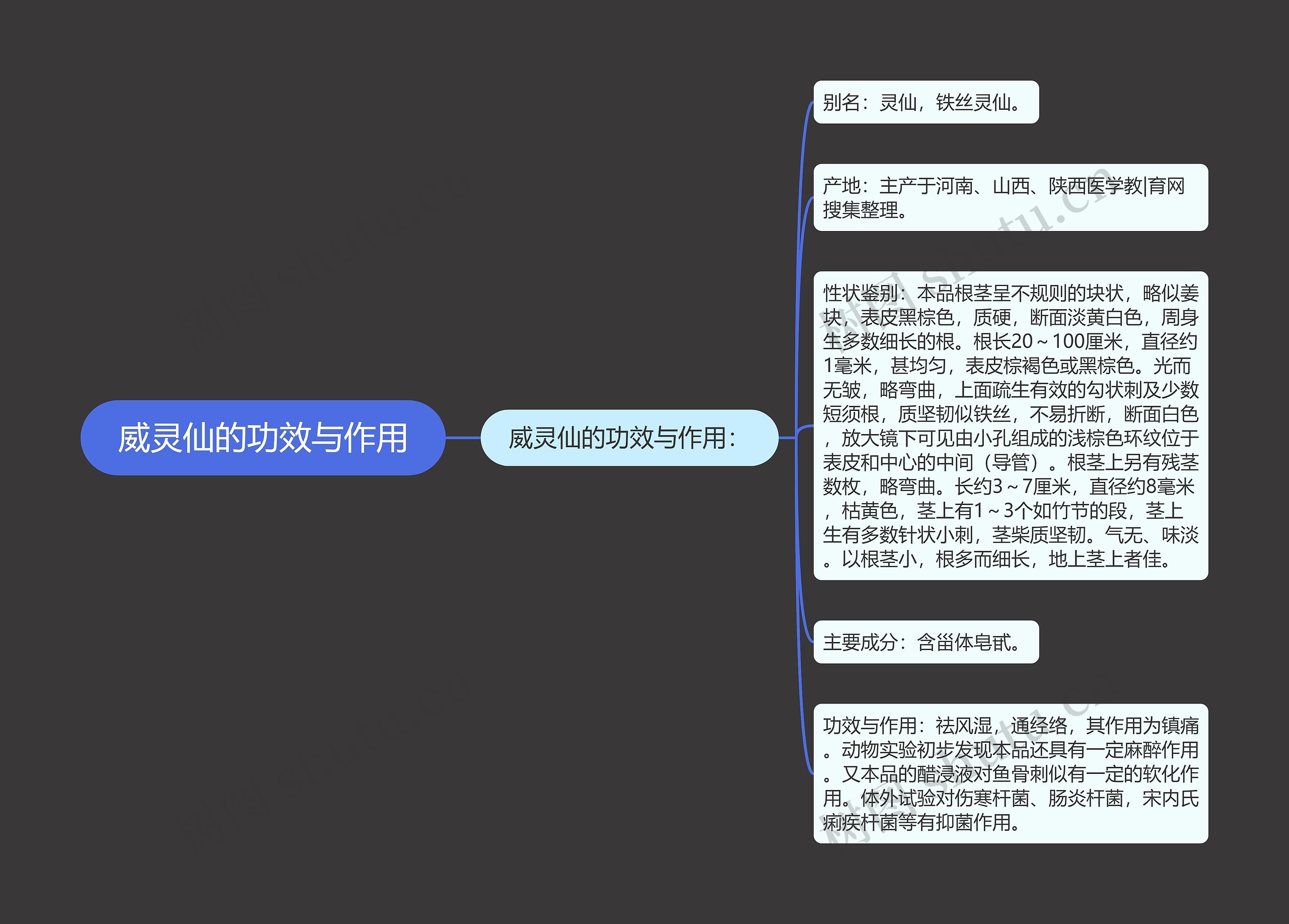 威灵仙的功效与作用思维导图