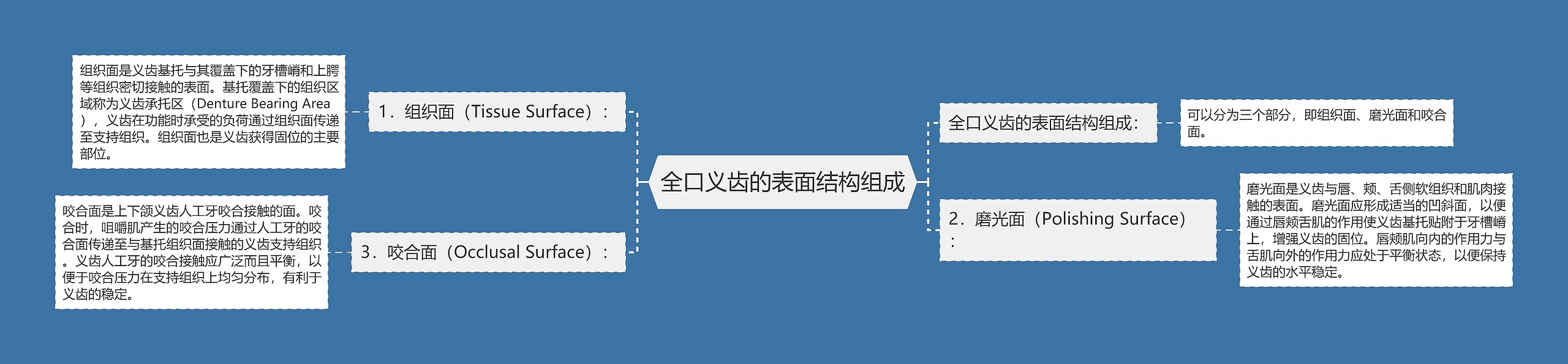 全口义齿的表面结构组成思维导图