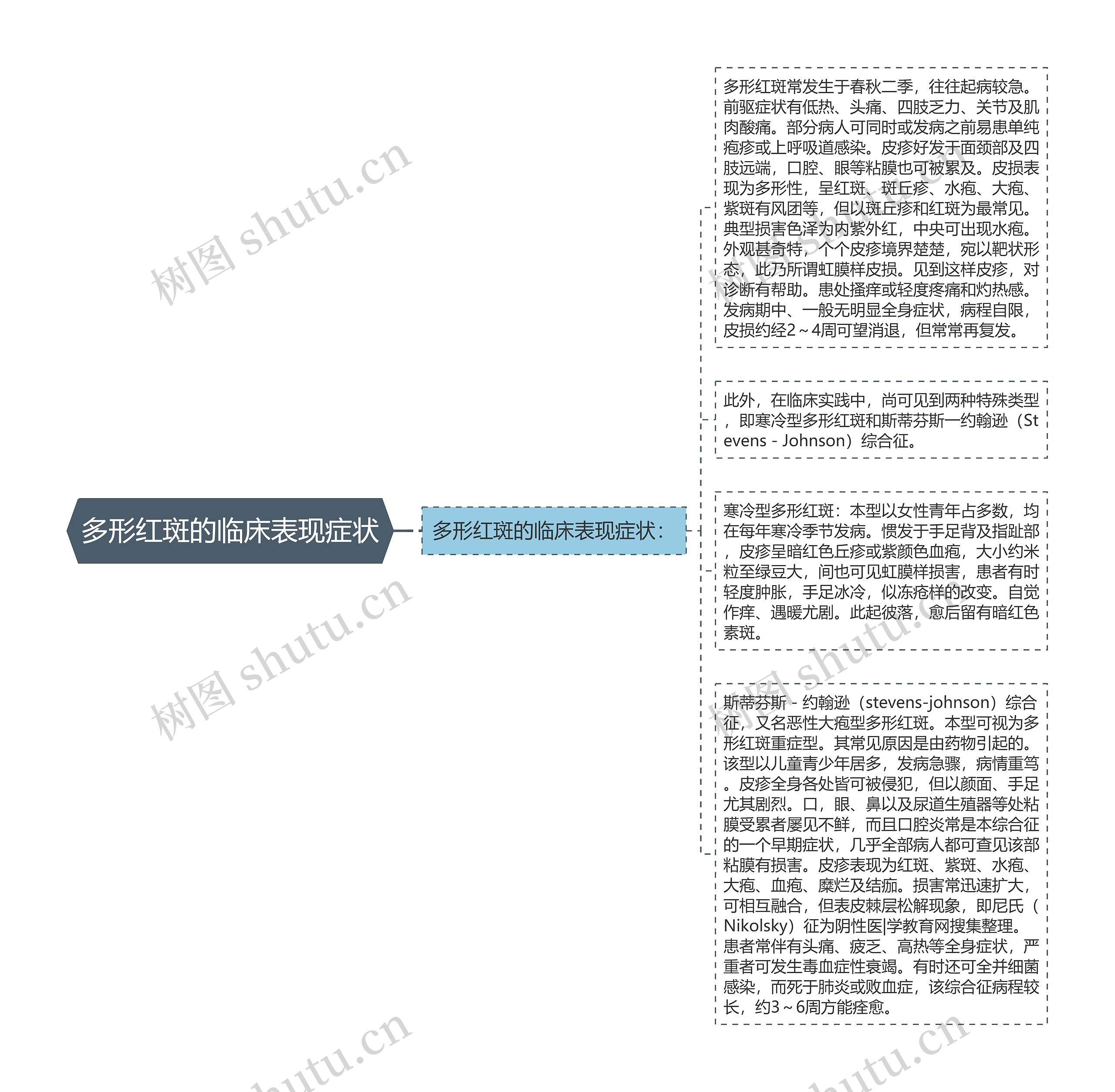 多形红斑的临床表现症状思维导图