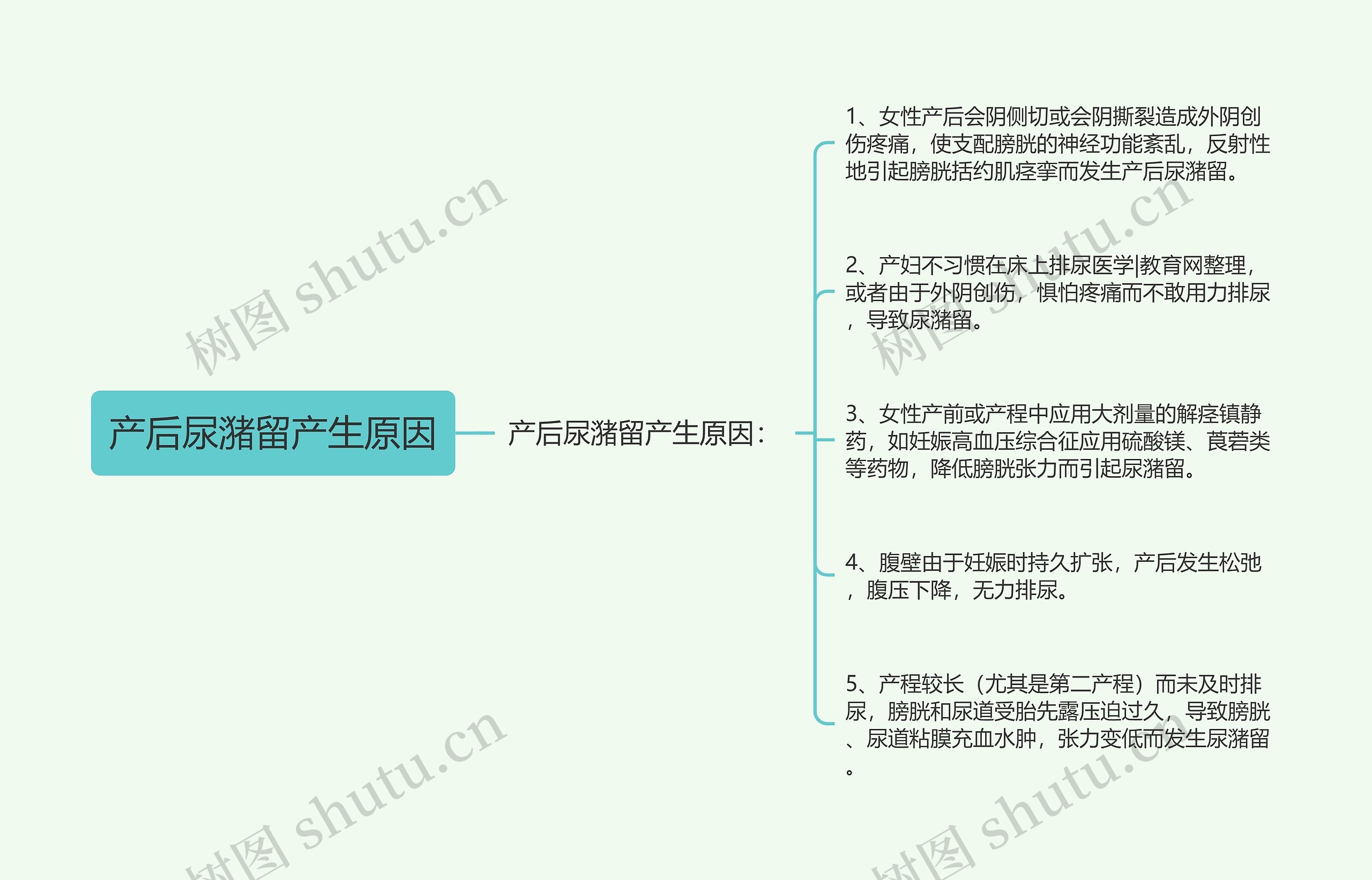 产后尿潴留产生原因思维导图