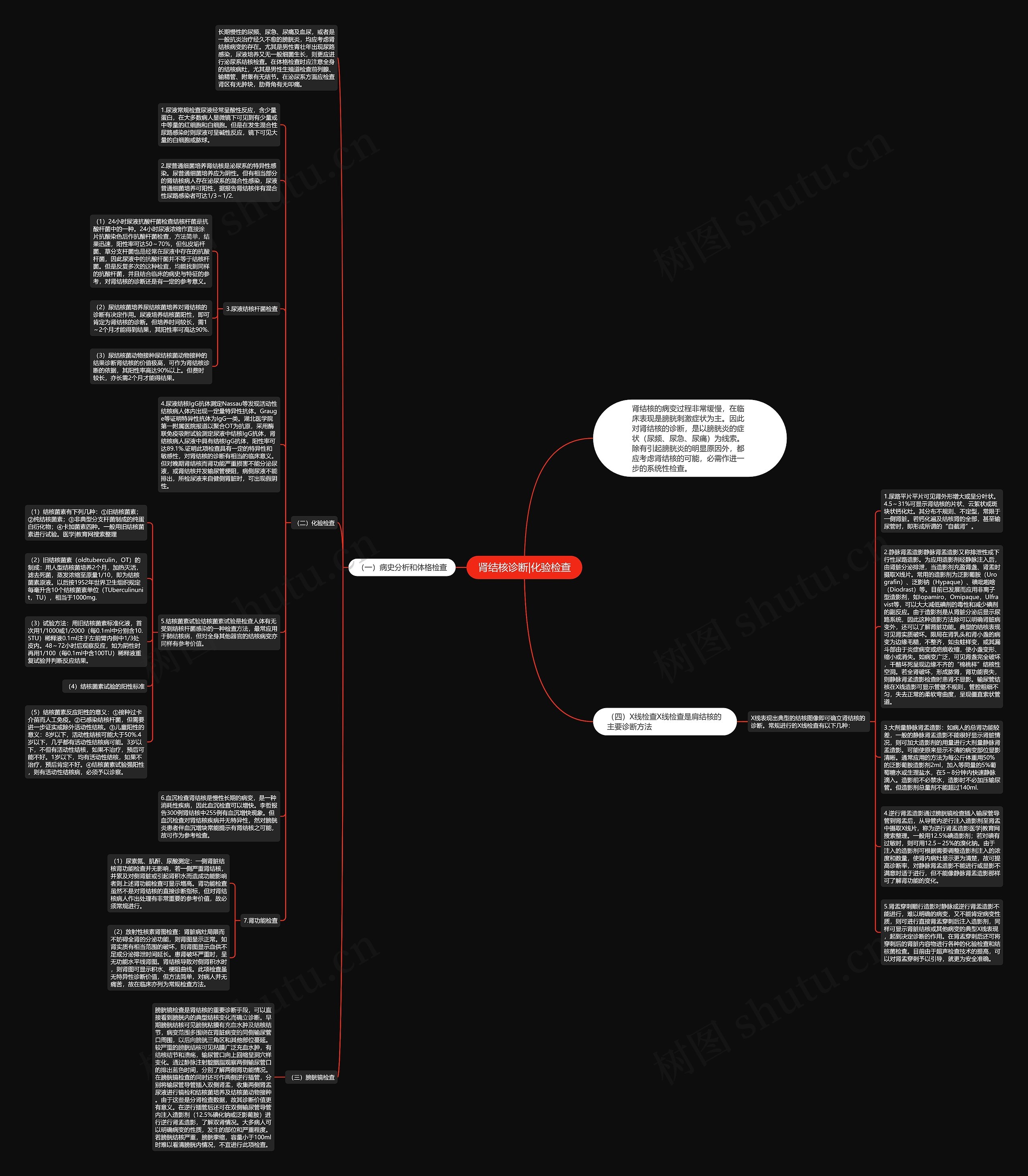肾结核诊断|化验检查思维导图