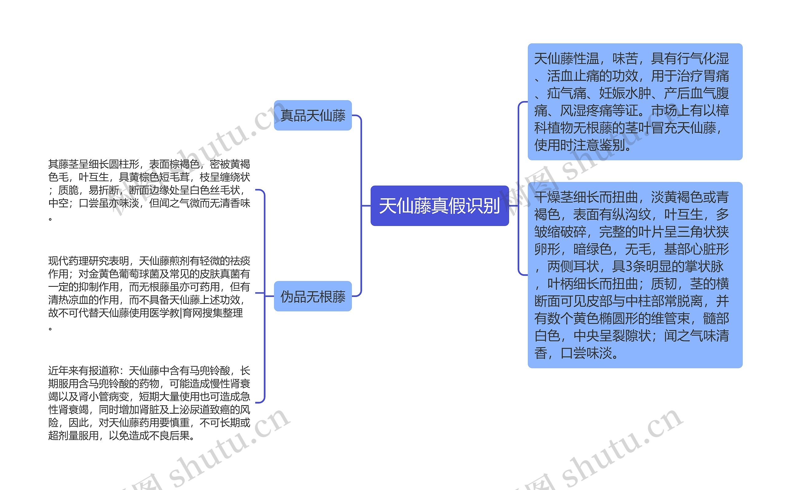 天仙藤真假识别思维导图