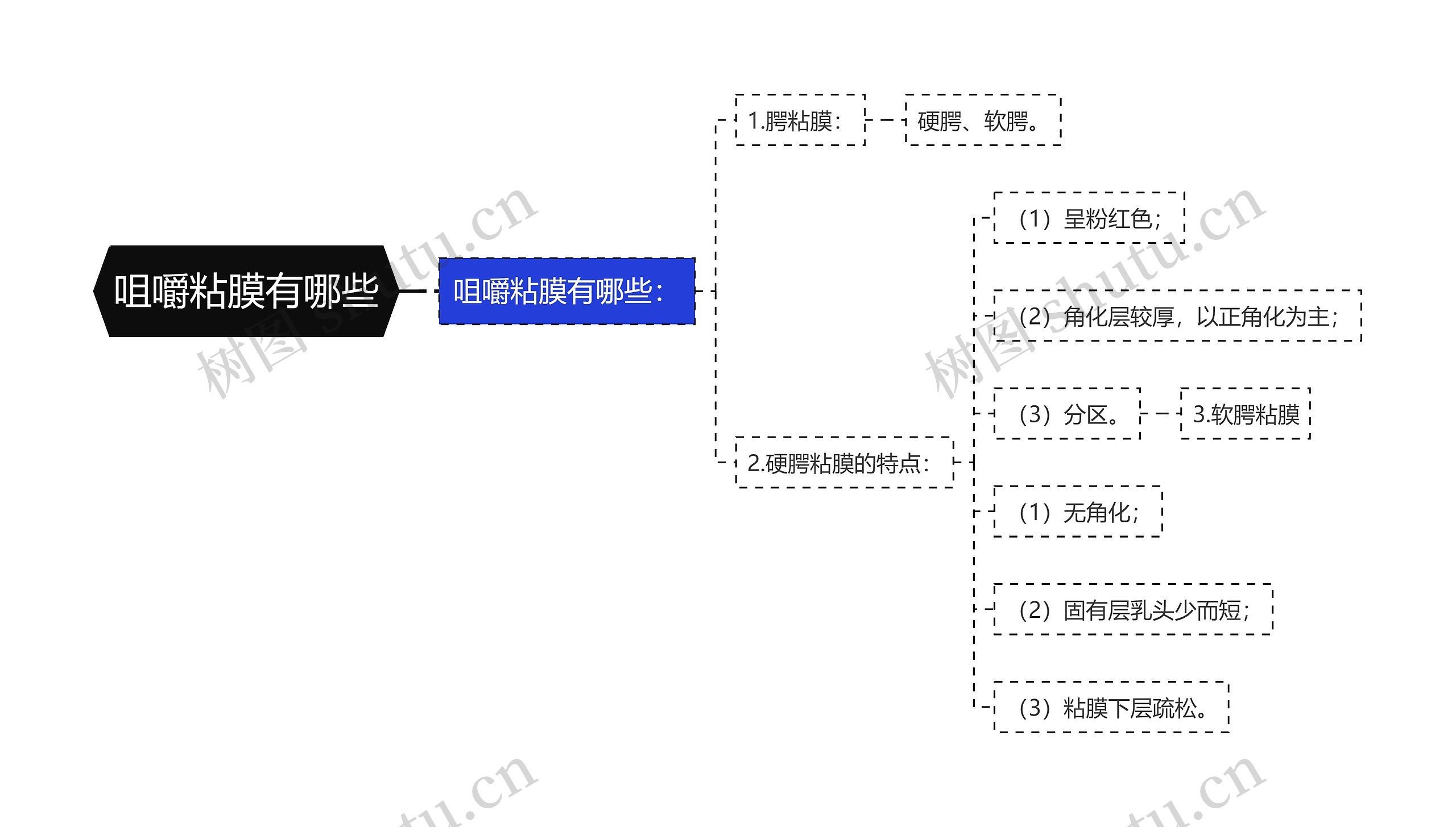 咀嚼粘膜有哪些思维导图高清图 咀嚼粘膜有哪些思维导图