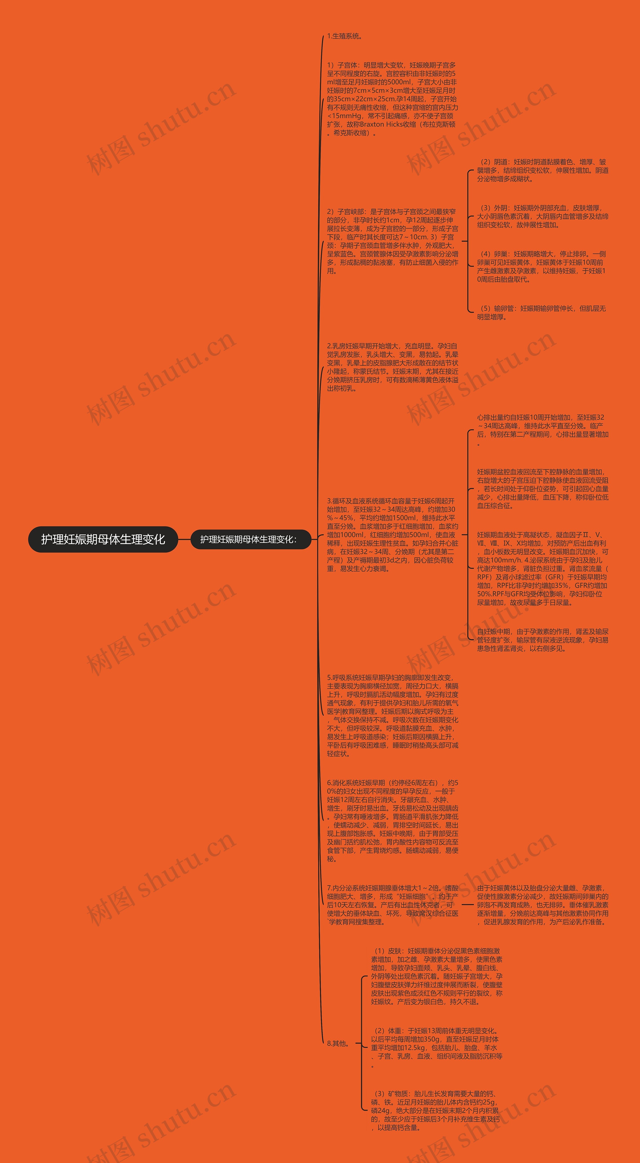 护理妊娠期母体生理变化思维导图