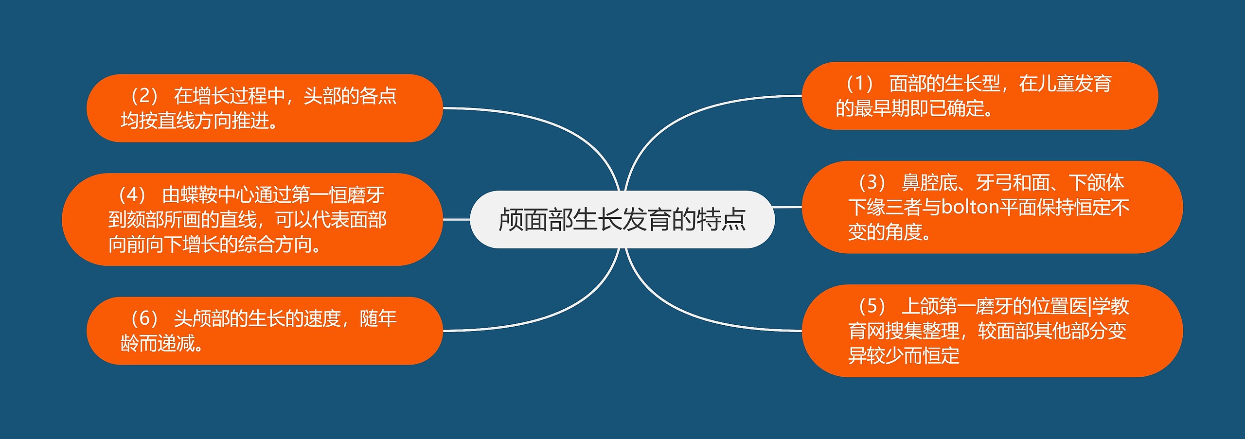 颅面部生长发育的特点 颅面部生长发育的特点