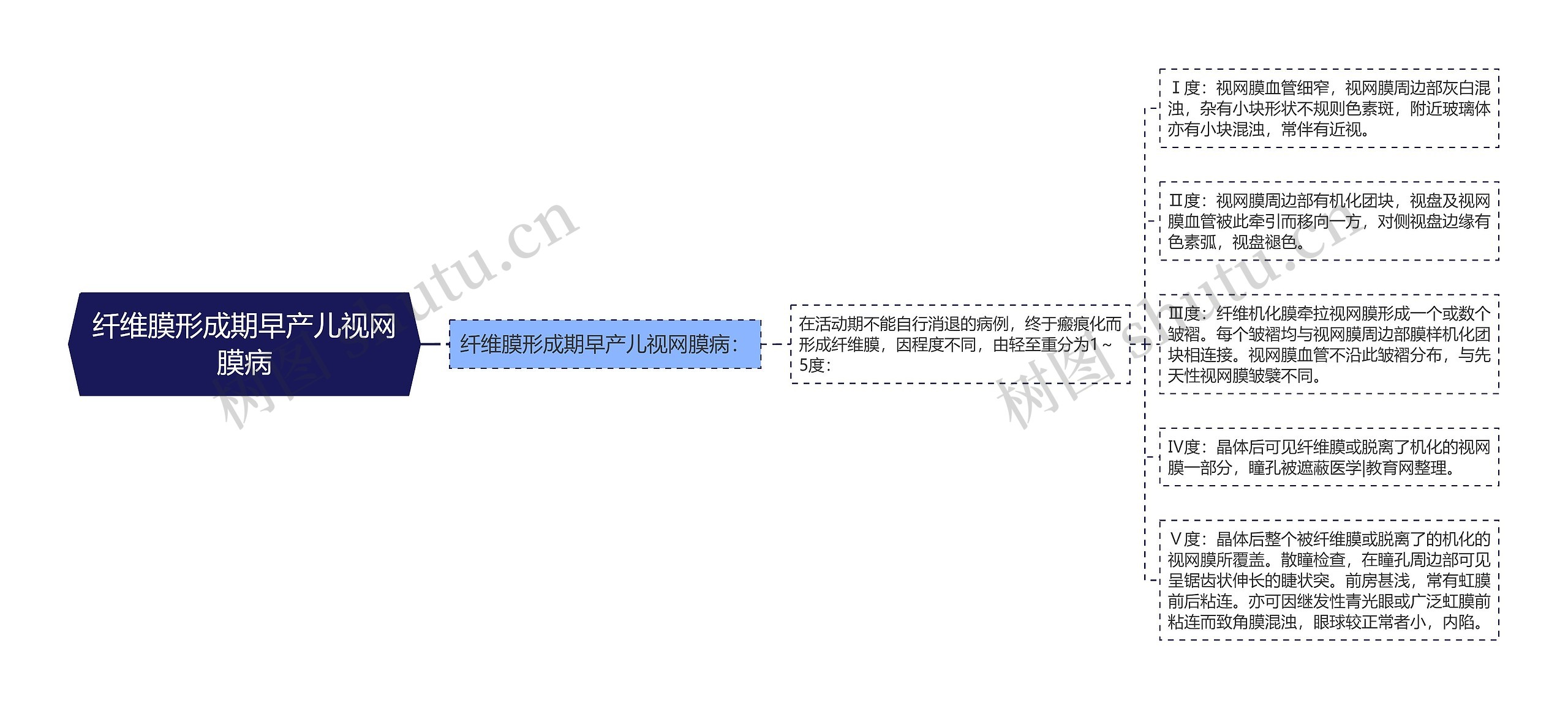 纤维膜形成期早产儿视网膜病