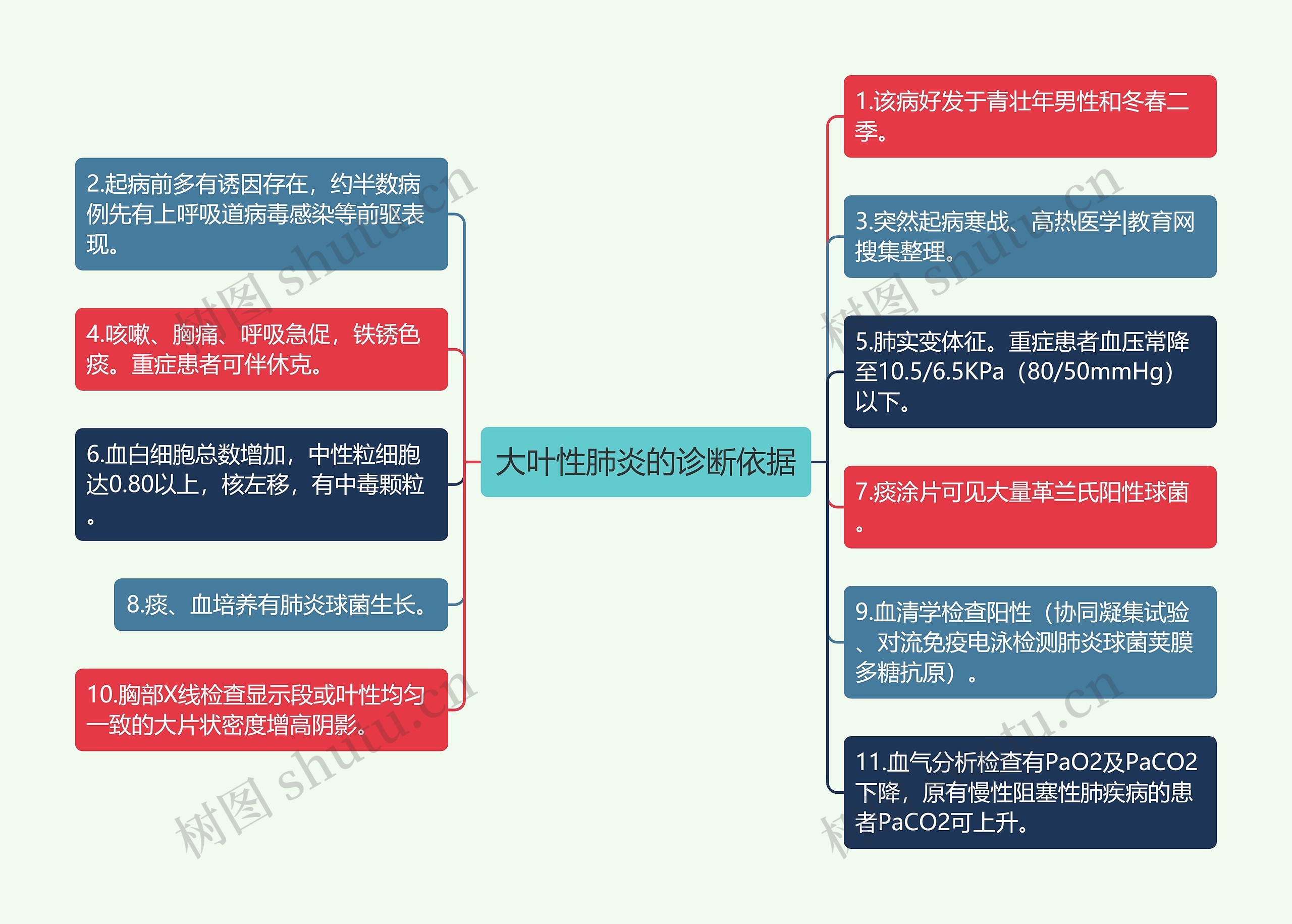 大叶性肺炎的诊断依据思维导图