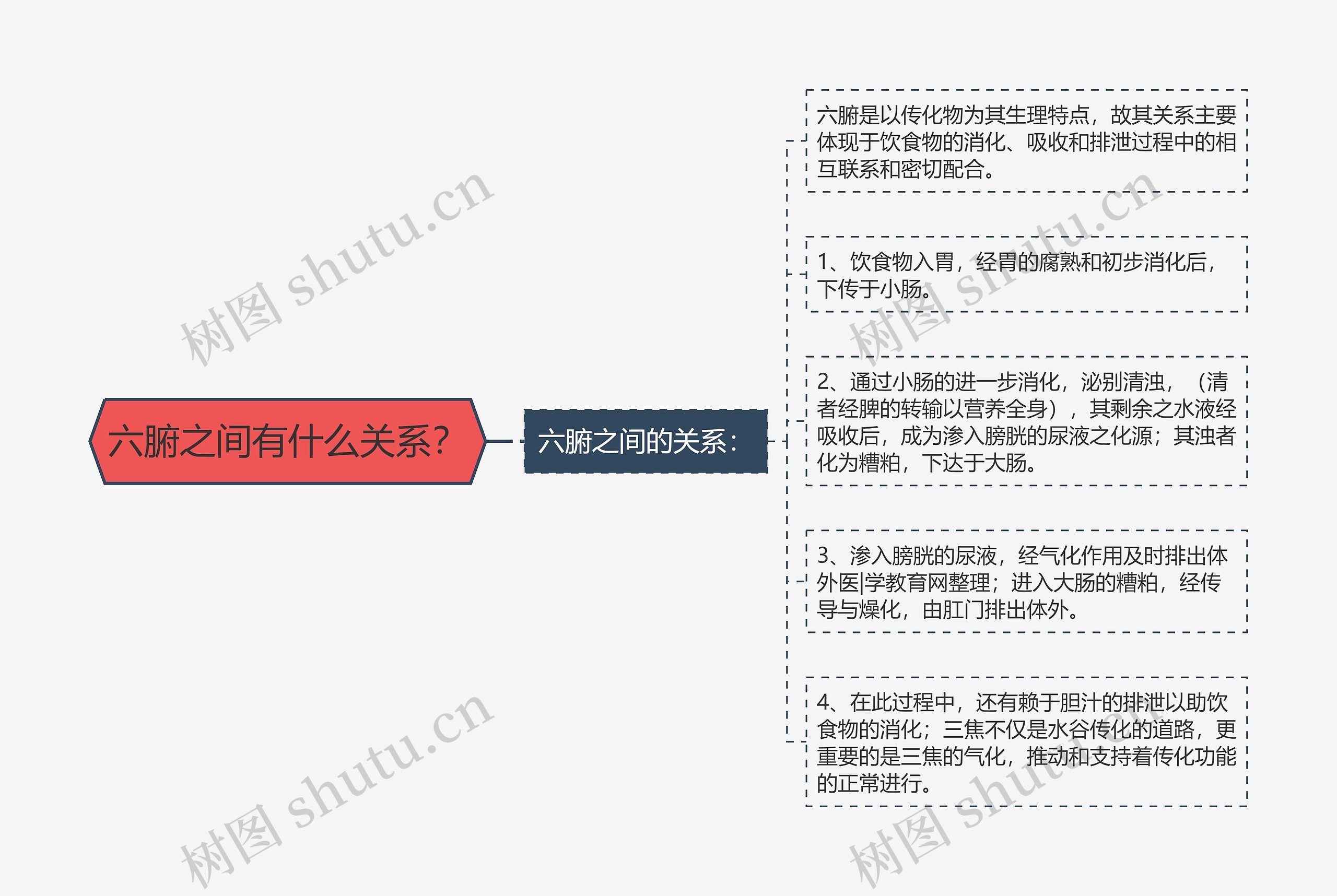 六腑之间有什么关系？