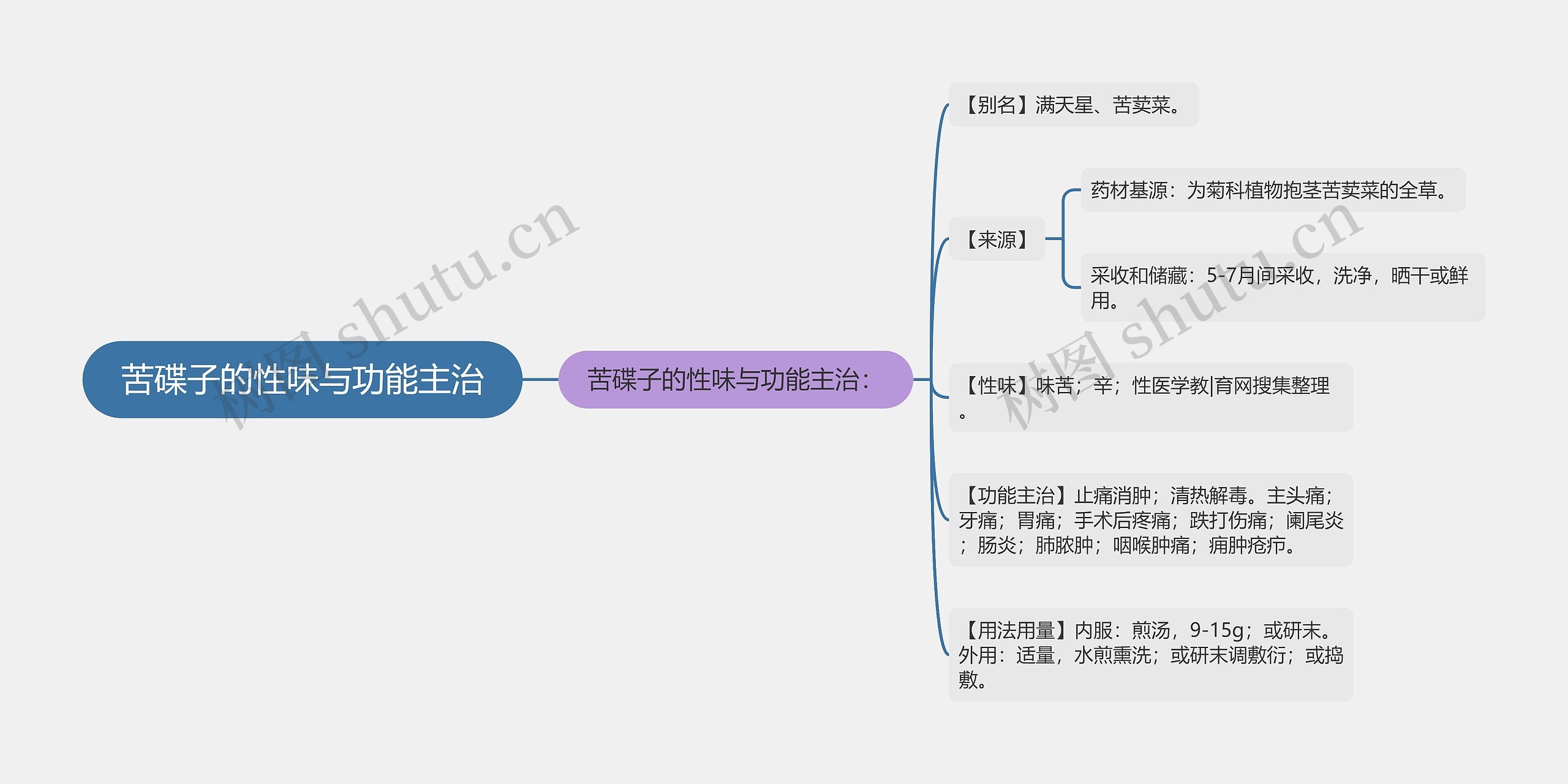 苦碟子的性味与功能主治思维导图