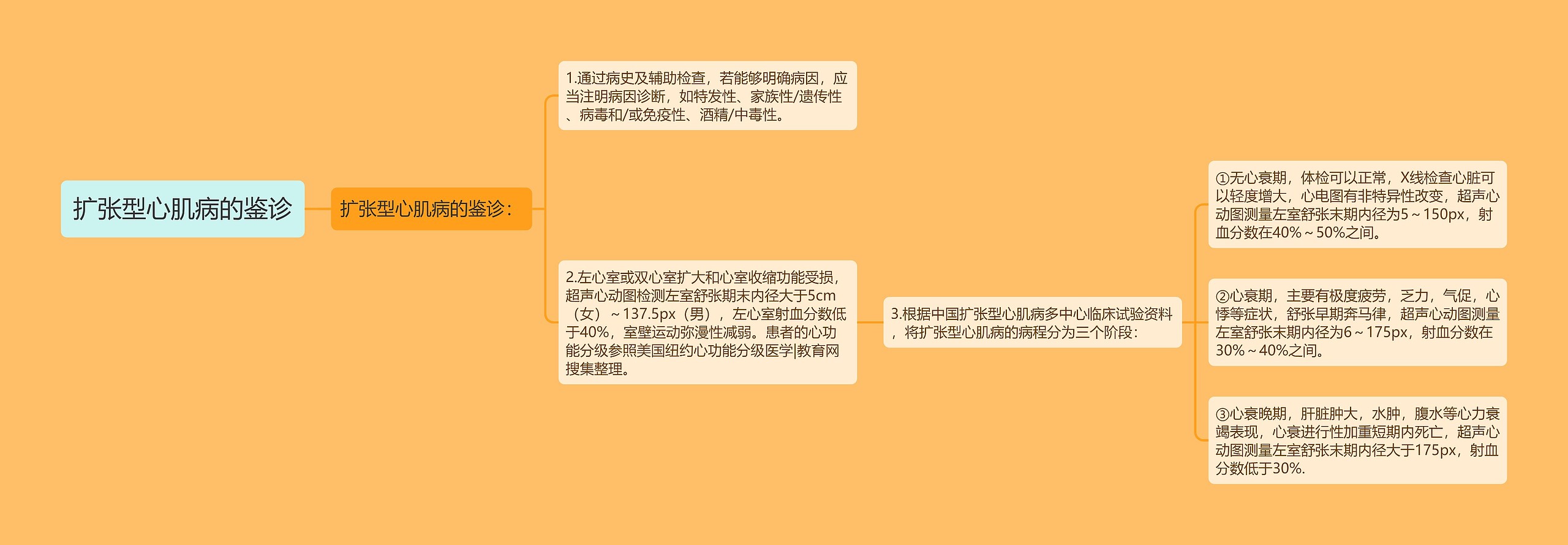 扩张型心肌病的鉴诊 扩张型心肌病的鉴诊