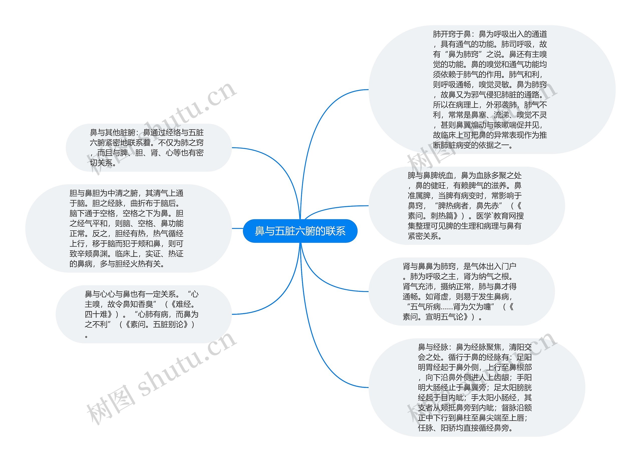 鼻与五脏六腑的联系