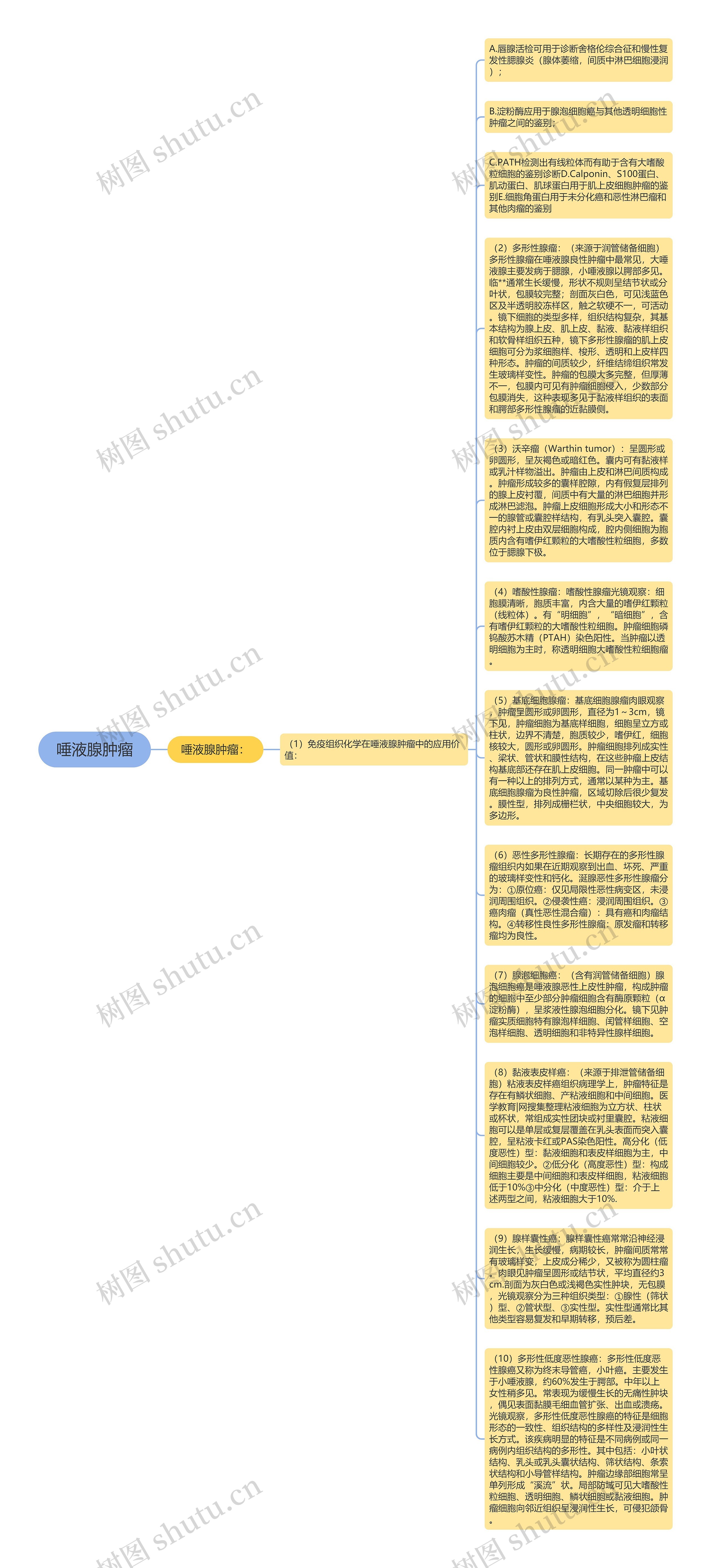 唾液腺肿瘤思维导图